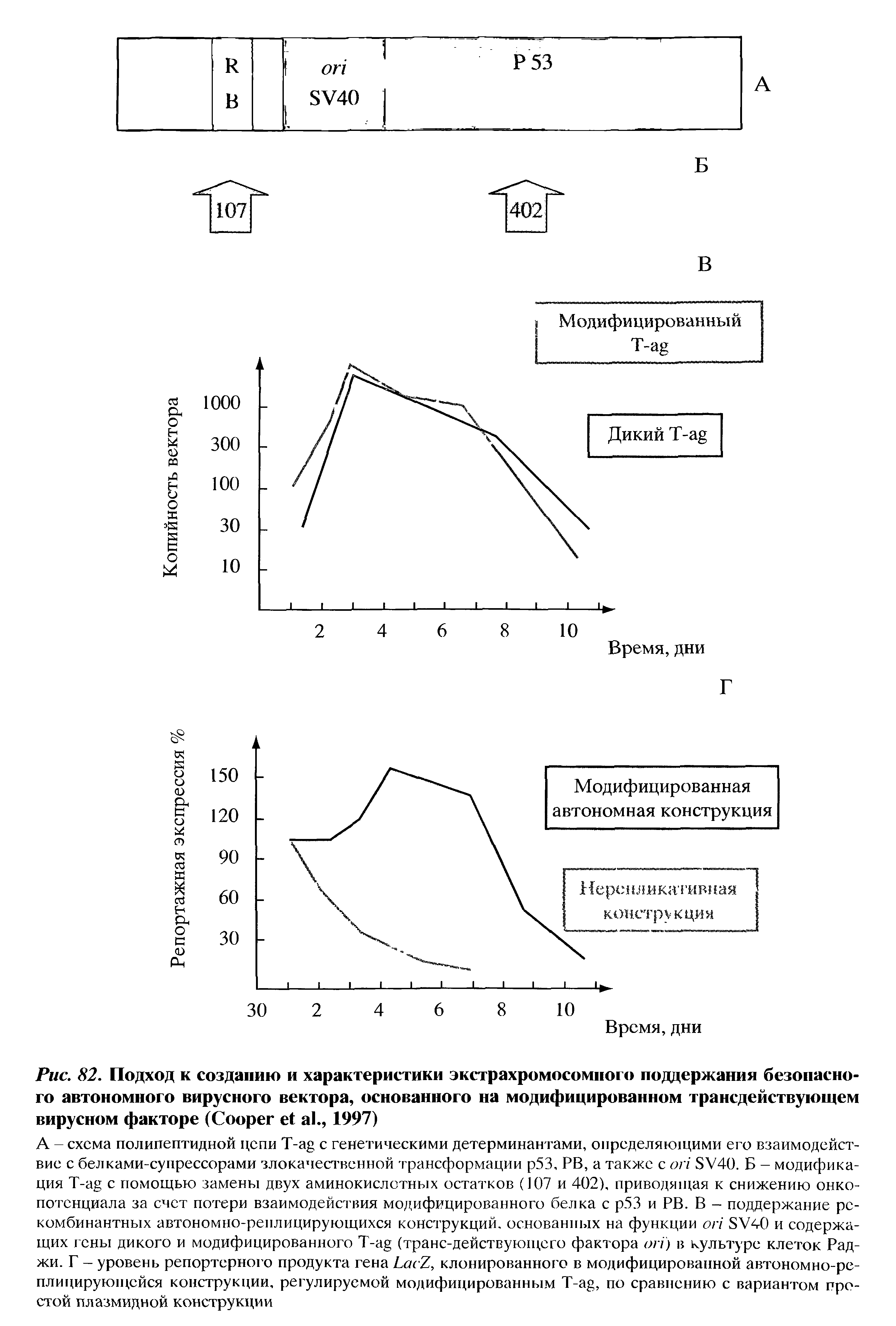 Рис. 82. Подход к созданию и характеристики экстрахромосомпого поддержания безопасного автономного вирусного вектора, основанного на модифицированном трансдействующем вирусном факторе (C ., 1997)...
