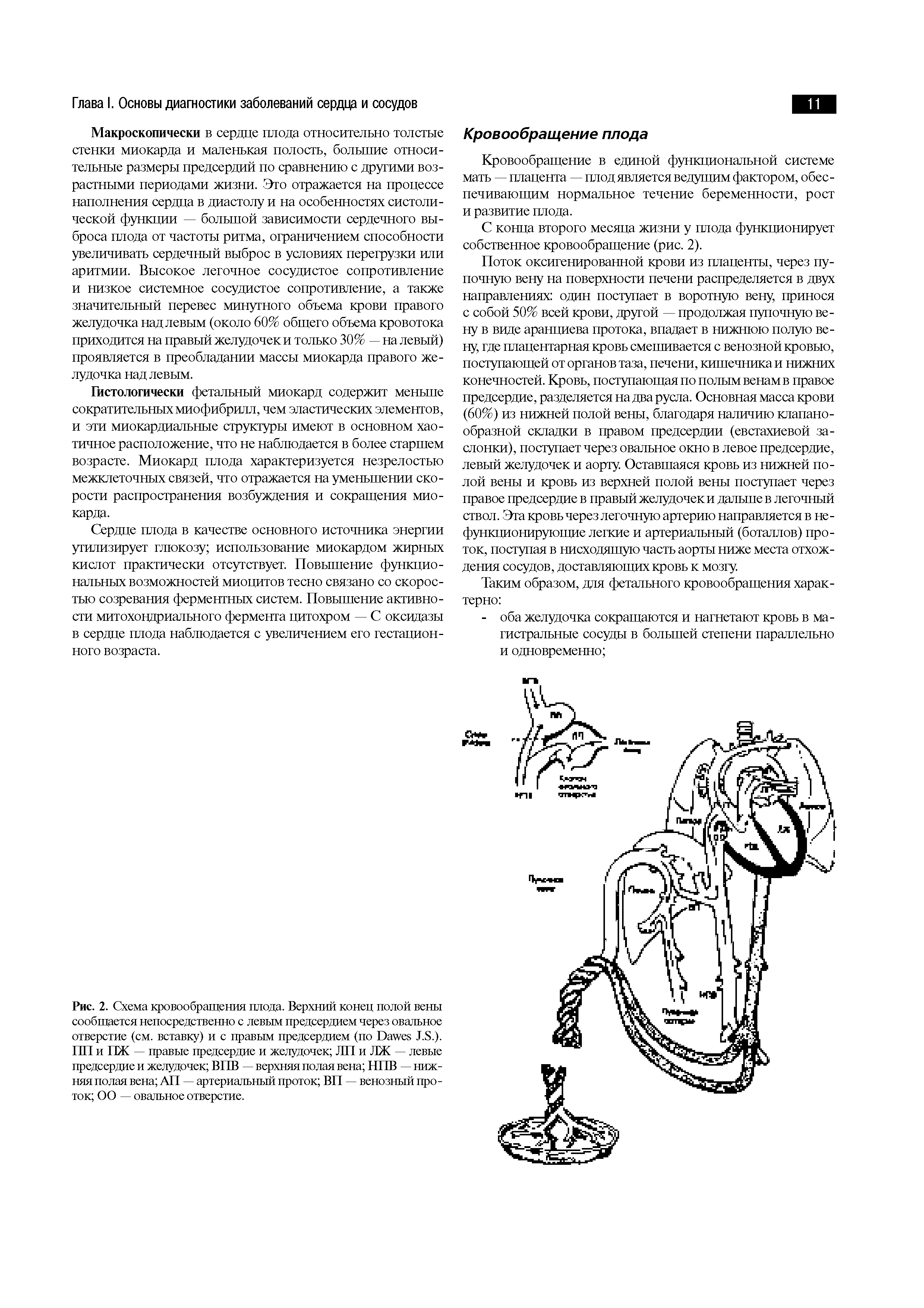 Рис. 2. Схема кровообращения плода. Верхний конец полой вены сообщается непосредственно с левым предсердием через овальное отверстие (см. вставку) и с правым предсердием (по D J.S.). 1111 и ПЖ — правые предсердие и желудочек ЛП и ЛЖ — левые предсердие и желудочек ВПВ — верхняя полая вена НПВ — нижняя полая вена АП — артериальный проток ВП — венозный проток 00 — овальное отверстие.