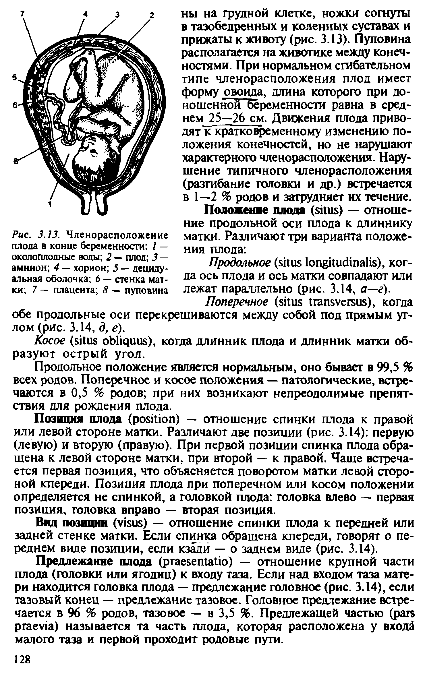 Рис. 3.13. Членорасположение плода в конце беременности / — околоплодные воды 2 — плод 3 — амнион 4 — хорион 5 — децидуальная оболочка 6 — стенка матки 7 — плацента 8 — пуповина...