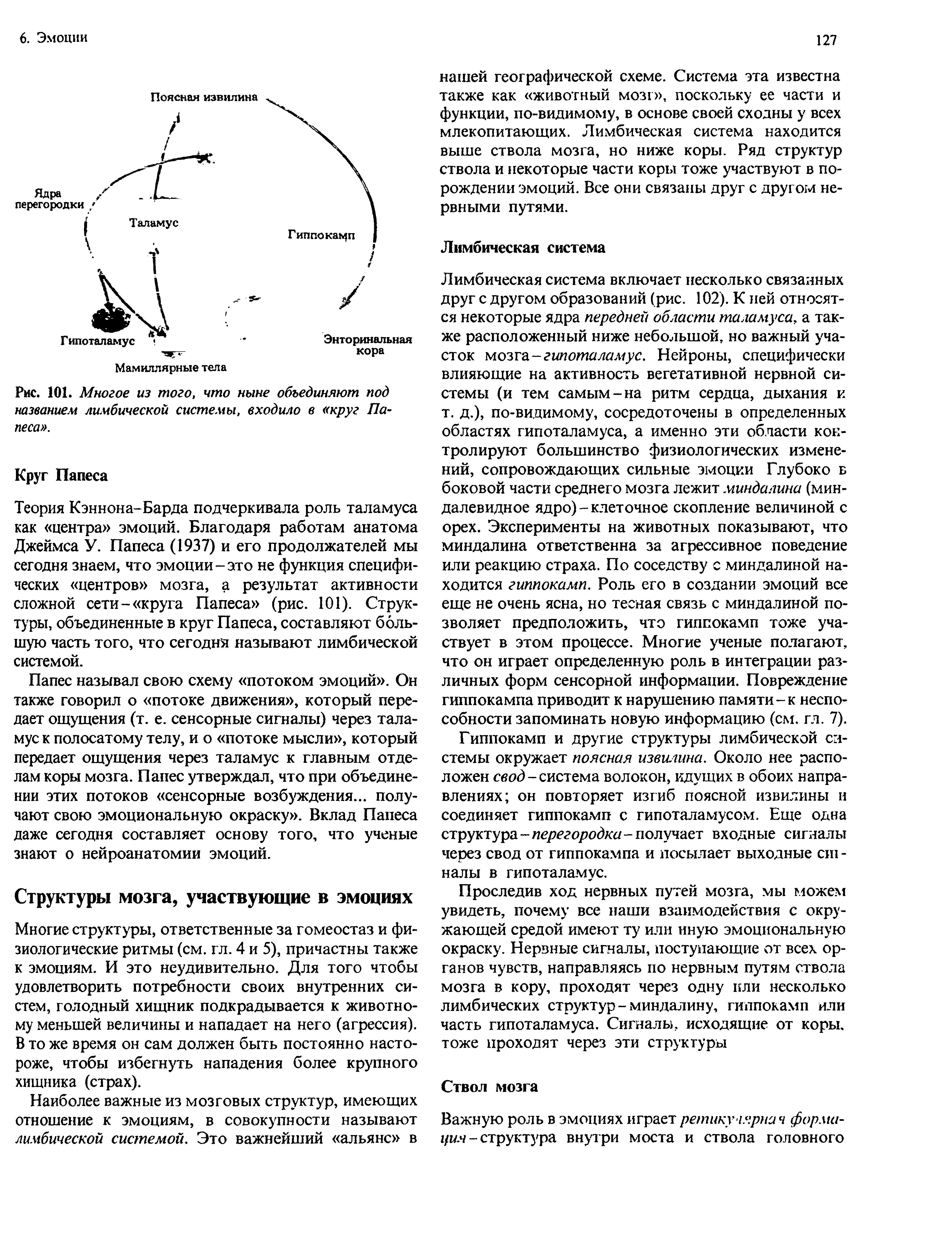 Рис. 101. Многое из того, что ныне объединяют под названием лимбической системы, входило в круг Папеса .