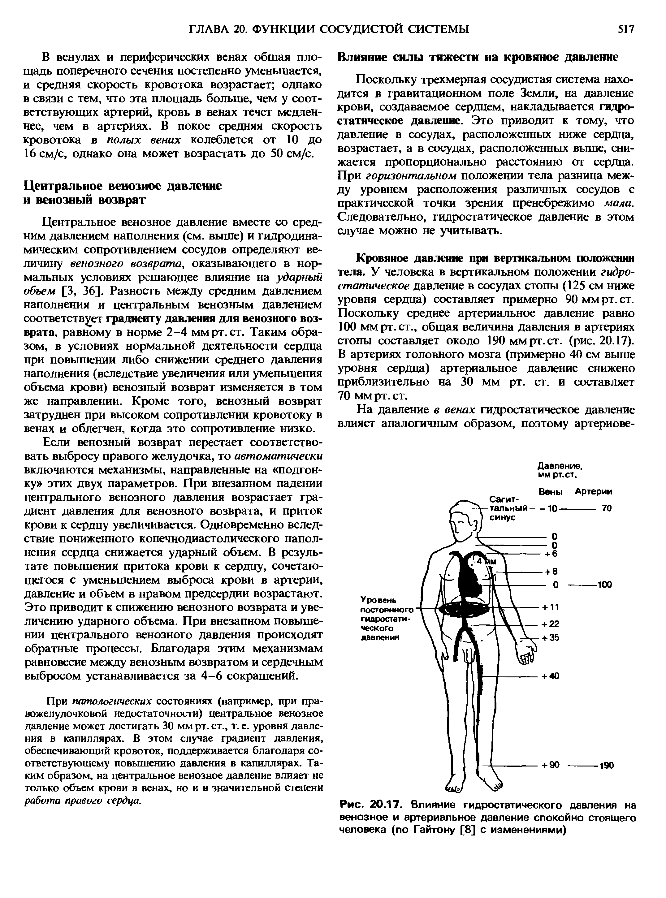 Рис. 20.17. Влияние гидростатического давления на венозное и артериальное давление спокойно стоящего человека (по Гайтону [8] с изменениями)...