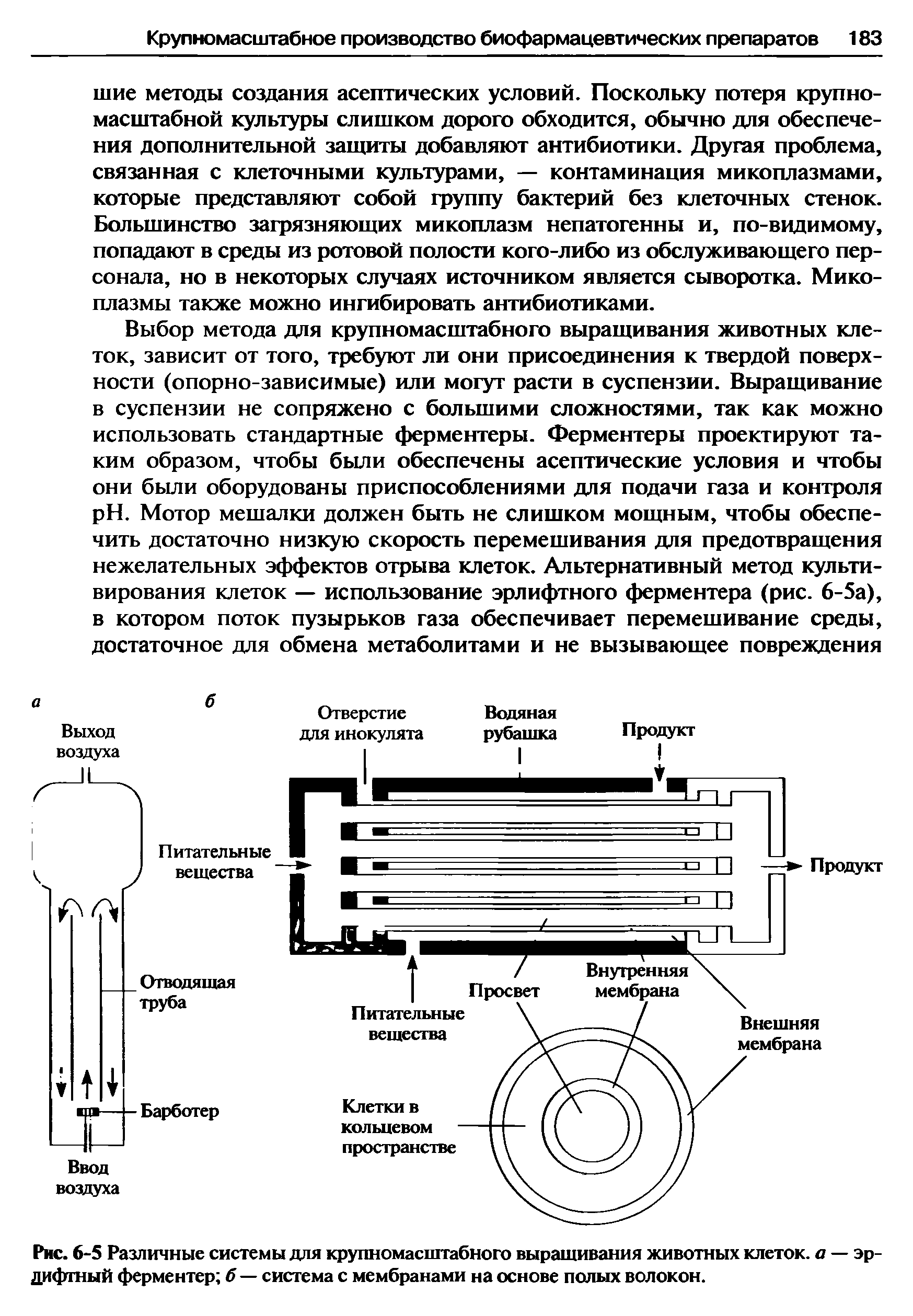 Рис. 6-5 Различные системы для крупномасштабного выращивания животных клеток, а — эрлифтный ферментер б — система с мембранами на основе полых волокон.