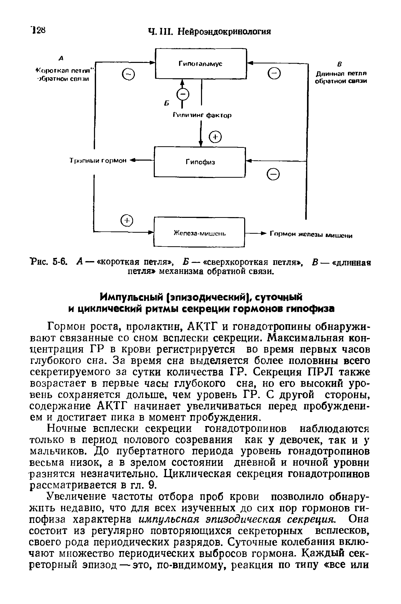 Рис. 5-6. А — короткая петля , Б — сверхкороткая петля , В — длинная петля механизма обратной связи.