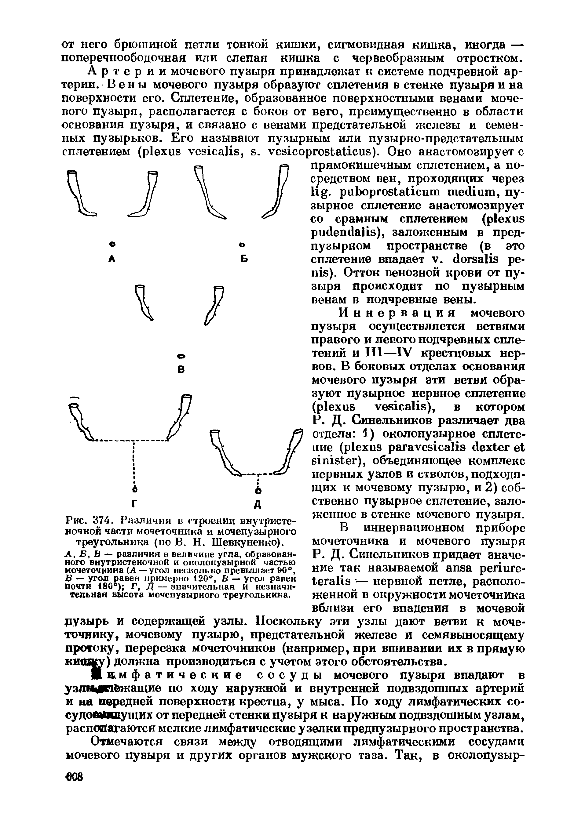 Рис. 374. Различия в строении внутристеночной части мочеточника и мочепузырного треугольника (по В. Н. Шевкуненко).
