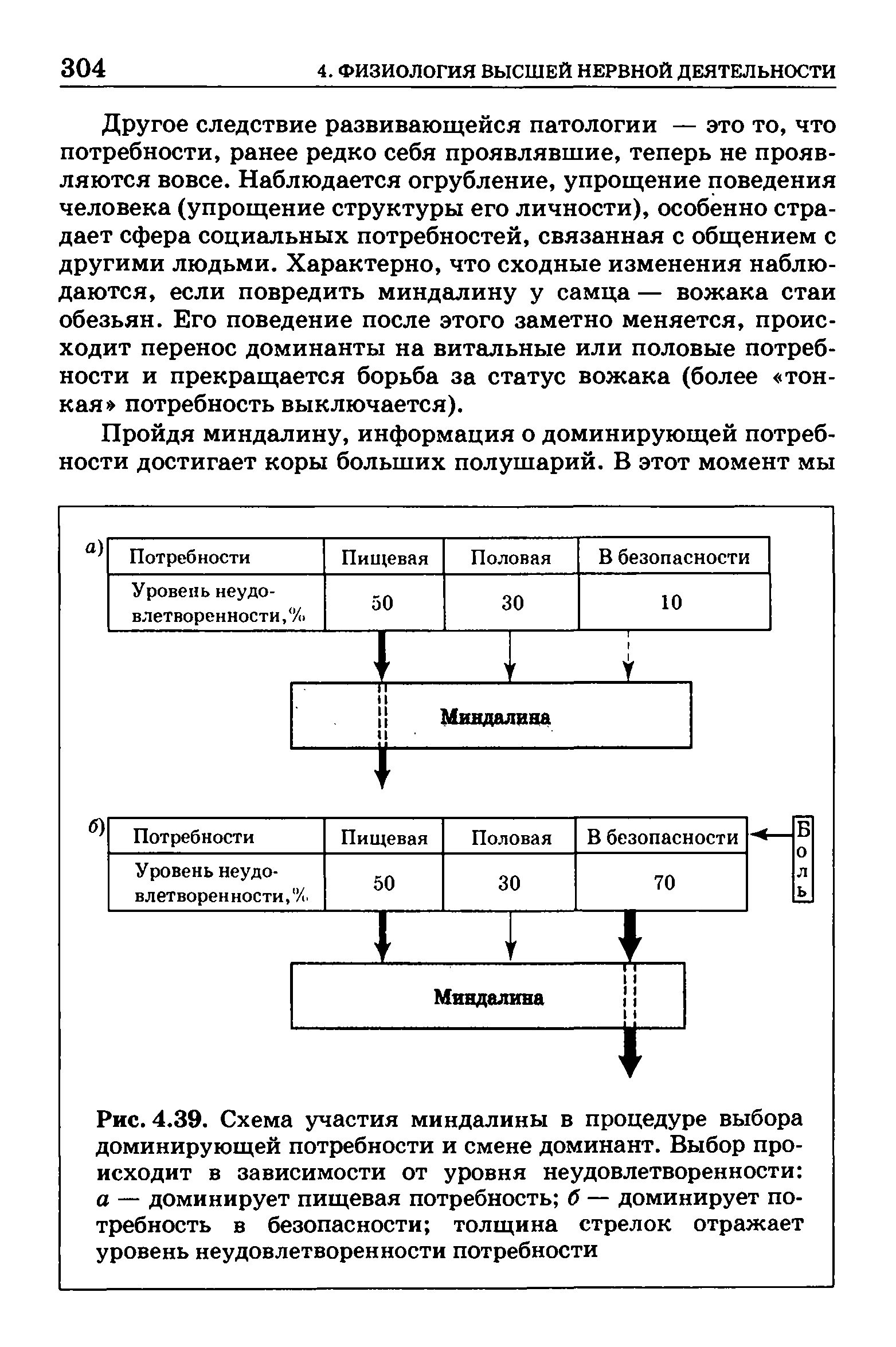 Рис. 4.39. Схема участия миндалины в процедуре выбора доминирующей потребности и смене доминант. Выбор происходит в зависимости от уровня неудовлетворенности а — доминирует пищевая потребность б — доминирует потребность в безопасности толщина стрелок отражает уровень неудовлетворенности потребности...