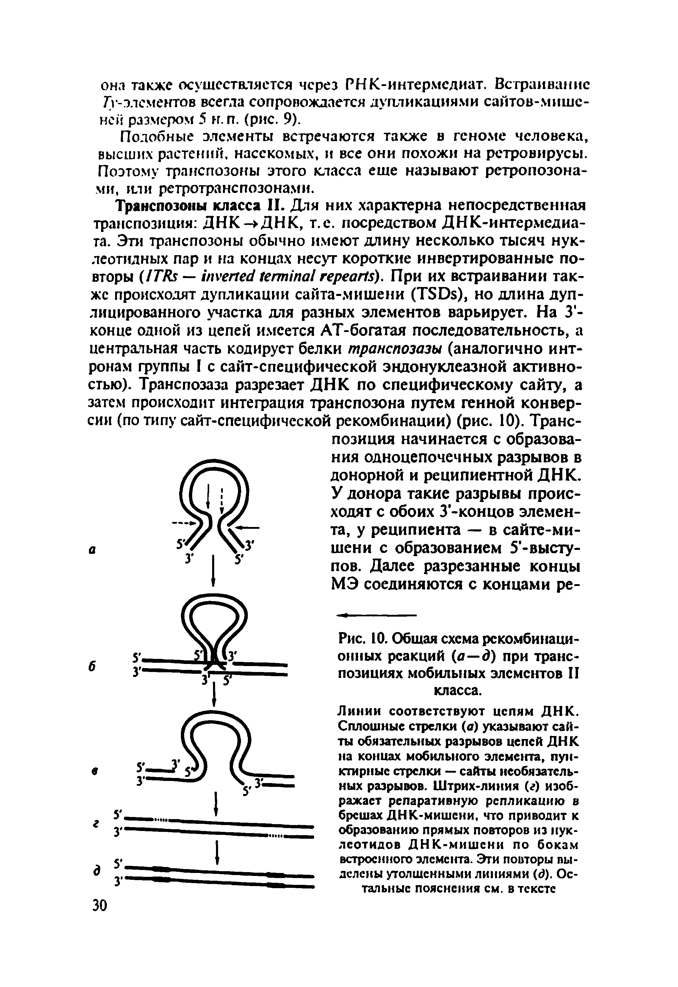 Рис. 10. Общая схема рекомбинационных реакций (а—д) при транспозициях мобильных элементов II класса.