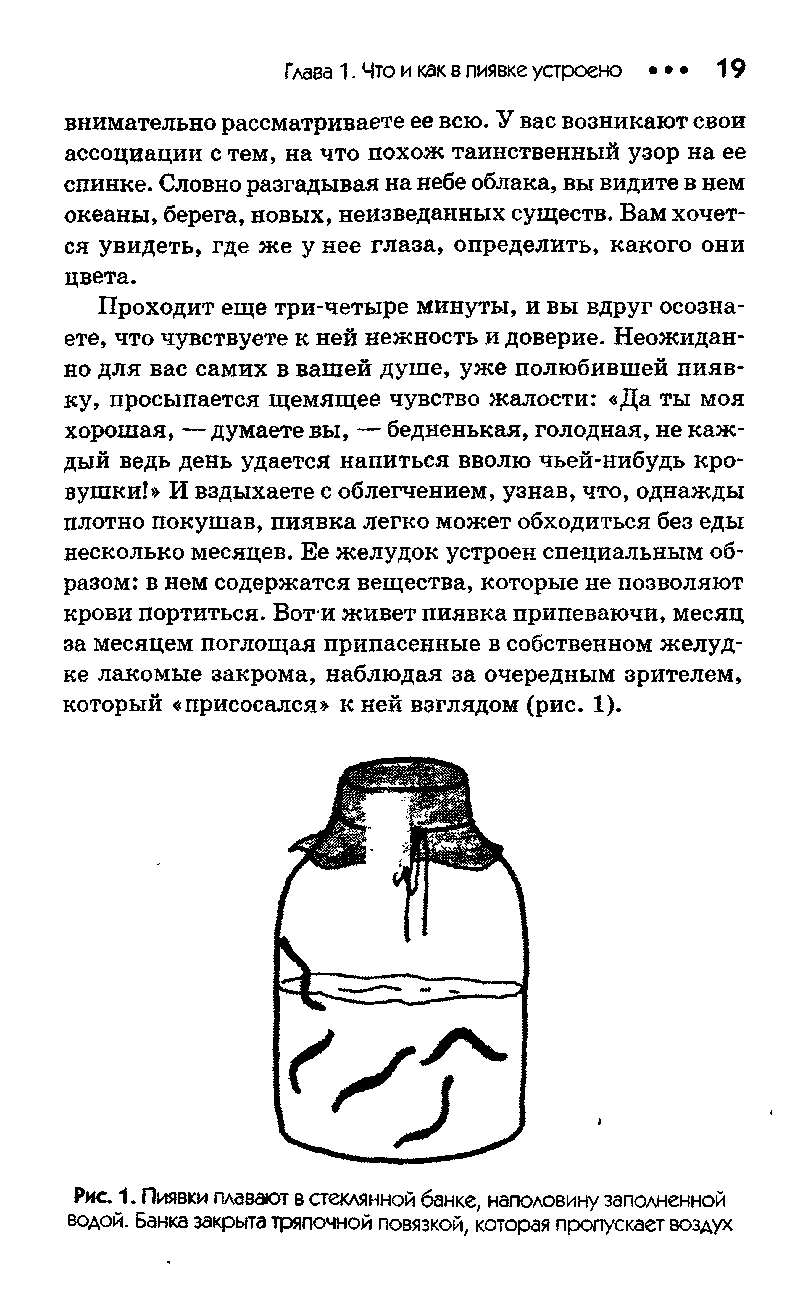 Рис. 1. Пиявки плавают в стеклянной банке, наполовину заполненной водой. Банка закрыта тряпочной повязкой, которая пропускает воздух...