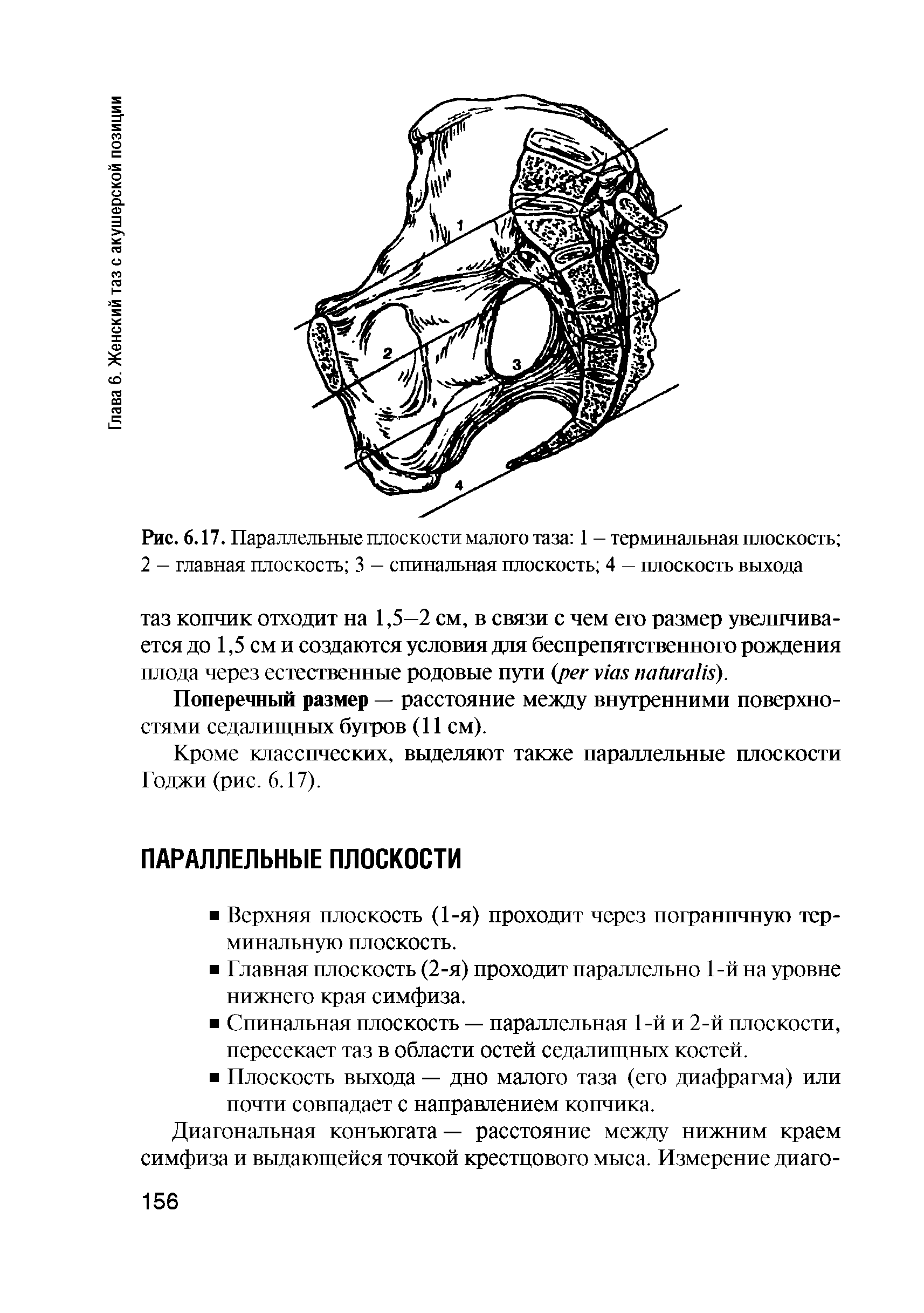 Рис. 6.17. Параллельные плоскости малого таза 1 - терминальная плоскость ...