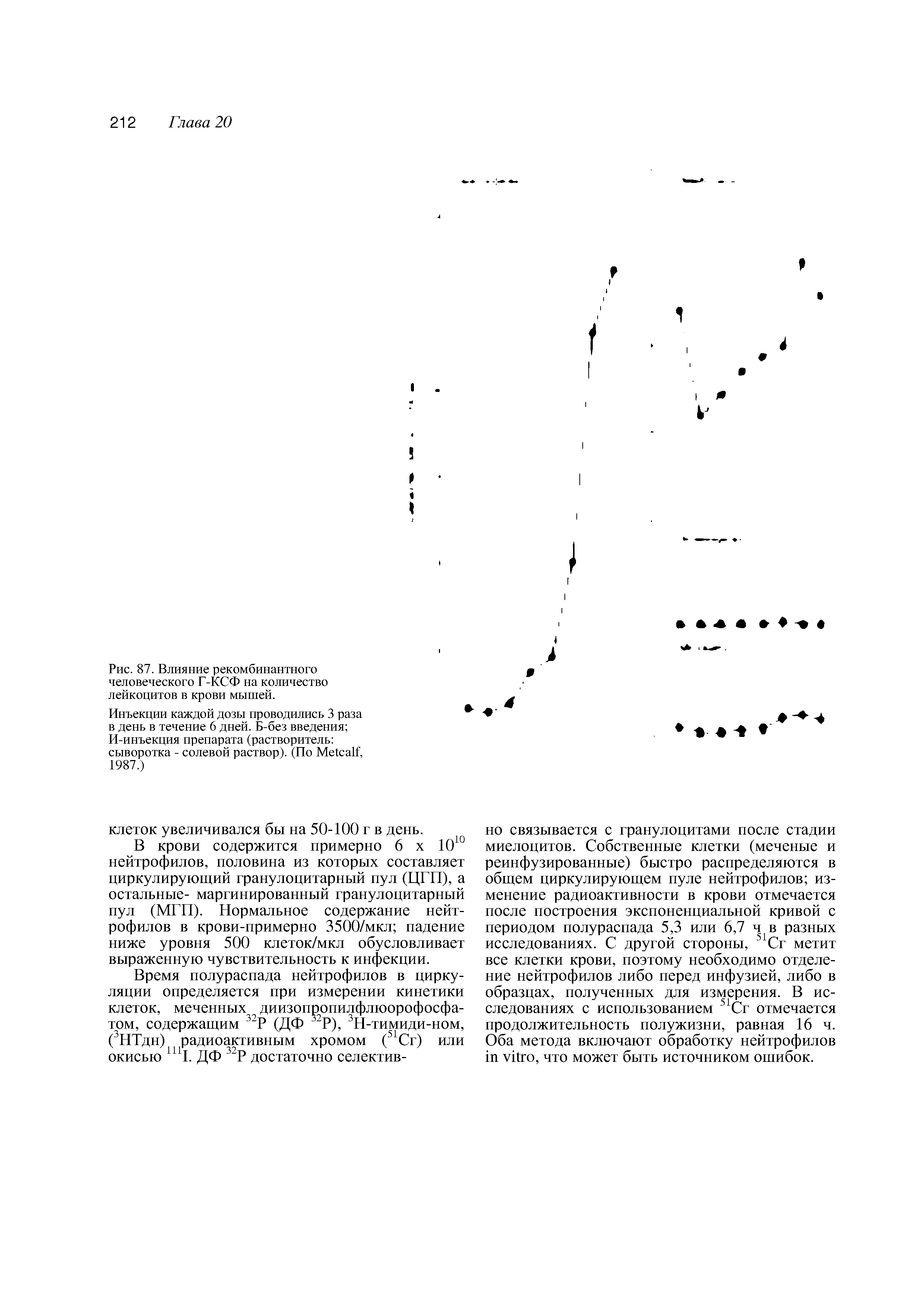 Рис. 87. Влияние рекомбинантного человеческого Г-КСФ на количество лейкоцитов в крови мышей.