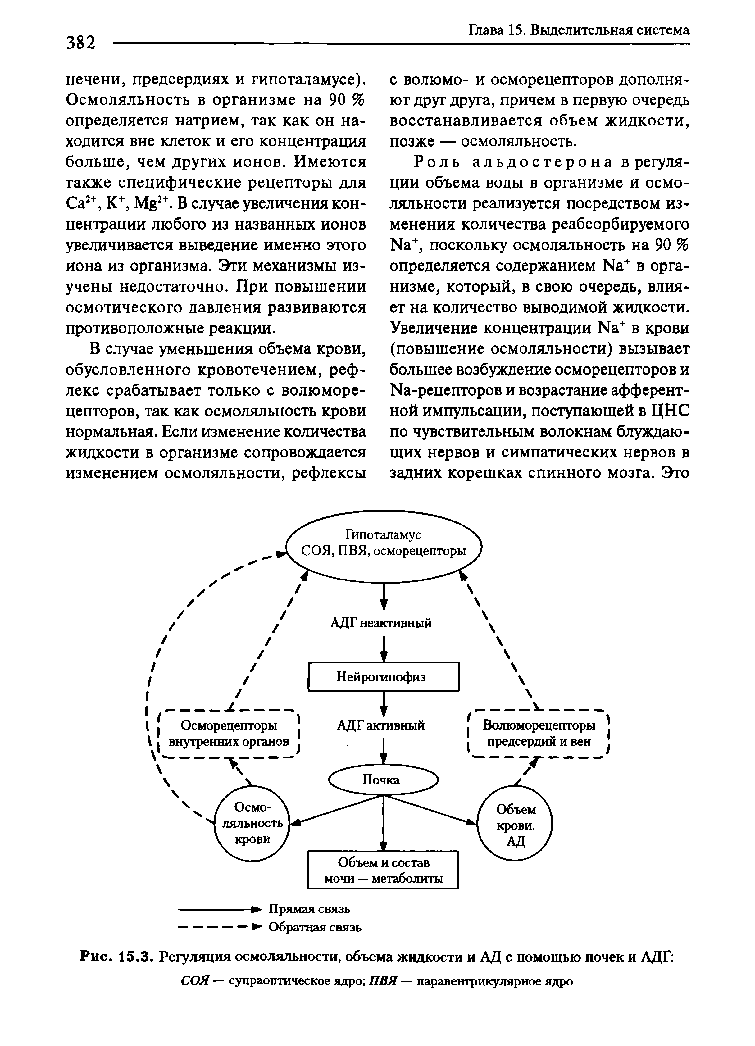 Рис. 15.3. Регуляция осмоляльности, объема жидкости и АД с помощью почек и АДГ ...