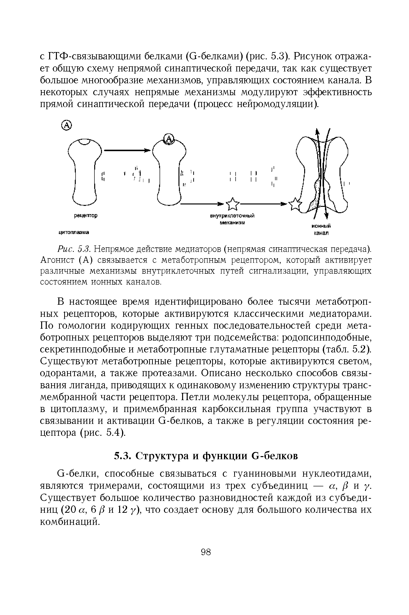 Рис. 5.3. Непрямое действие медиаторов (непрямая синаптическая передача). Агонист (А) связывается с метаботропным рецептором, который активирует различные механизмы внутриклеточных путей сигнализации, управляющих состоянием ионных каналов.