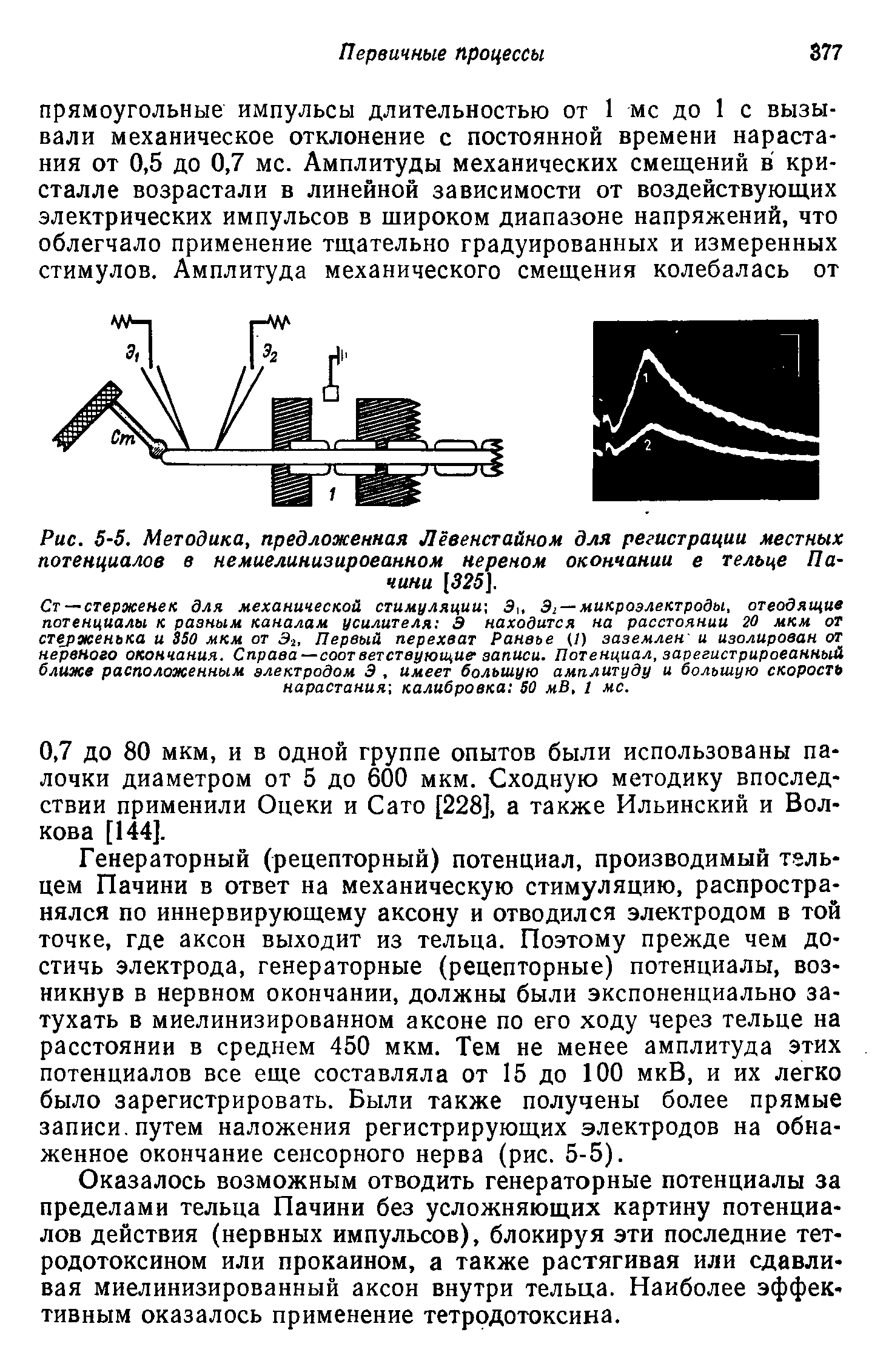 Рис. 5-5. Методика, предложенная Лёвенстайном для регистрации местных потенциалов в немиелинизироеанном нервном окончании е тельце Почини [325].