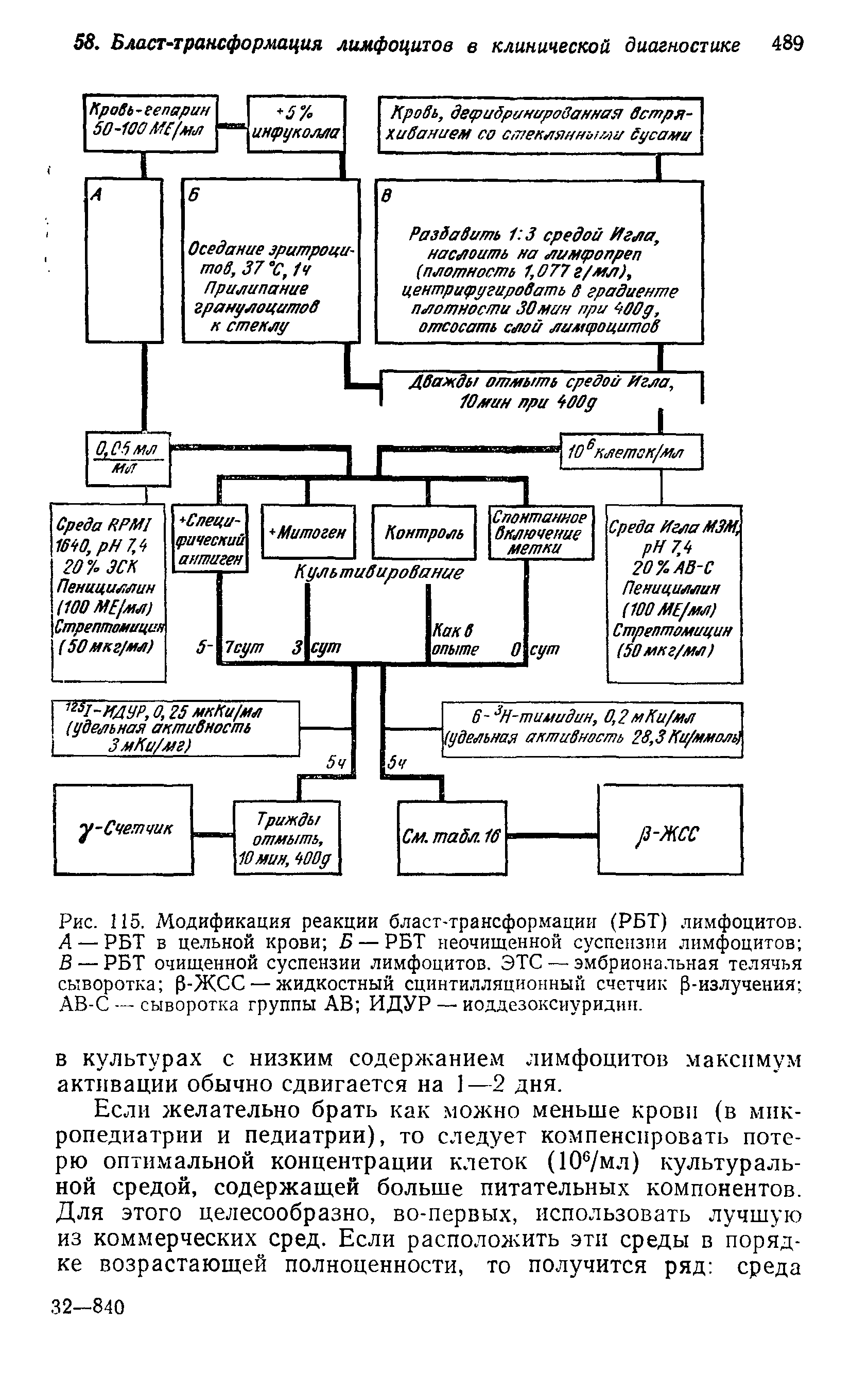 Рис. 115. Модификация реакции бласт-трансформации (РБТ) лимфоцитов. А— РБТ в цельной крови Б — РБТ неочищенной суспензии лимфоцитов В — РБТ очищенной суспензии лимфоцитов. ЭТС — эмбриональная телячья сыворотка р-ЖСС — жидкостный сцинтилляционный счетчик (3-излучения АВ-С — сыворотка группы АВ ИДУР — иоддезоксиуридин.