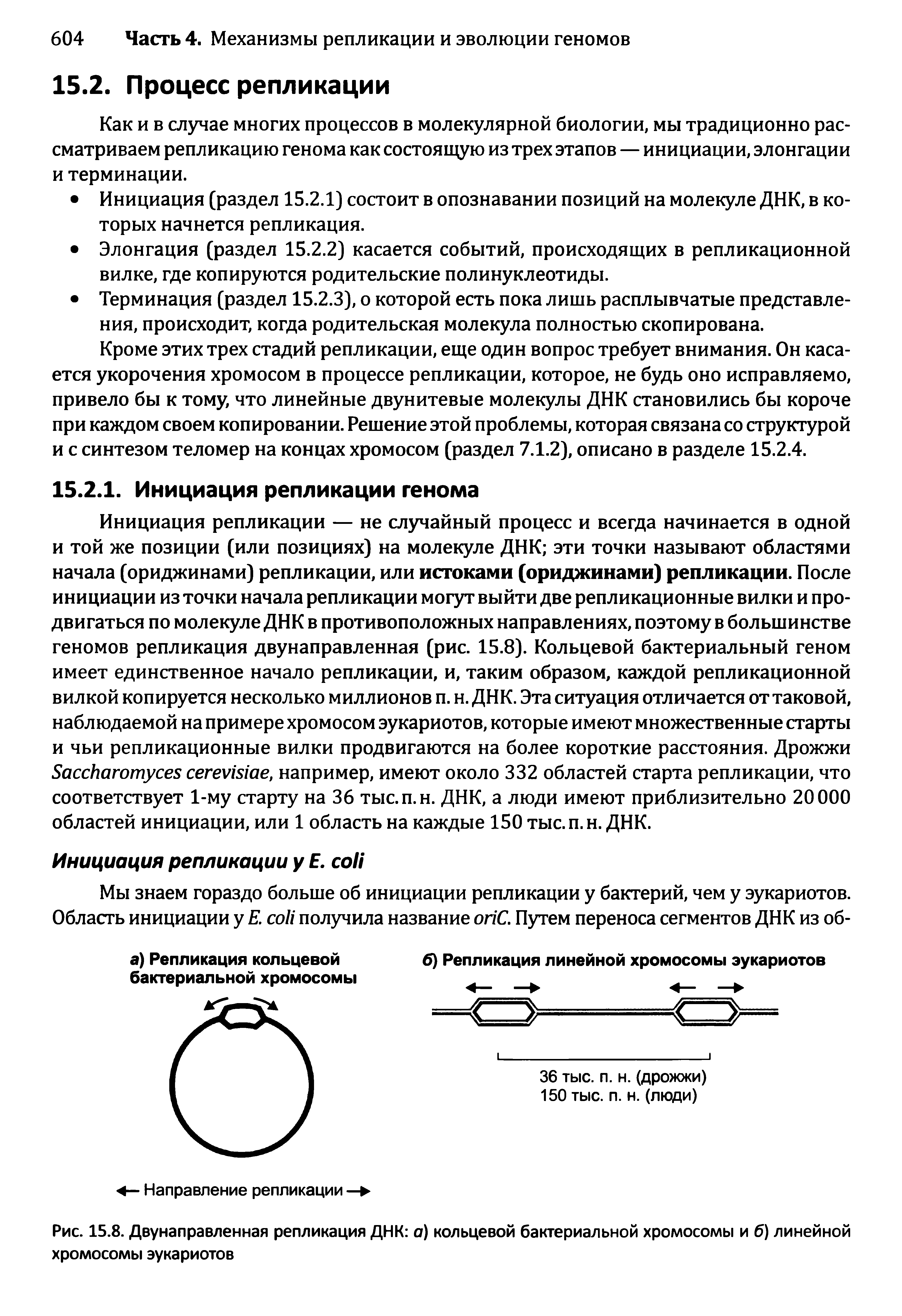 Рис. 15.8. Двунаправленная репликация ДНК а) кольцевой бактериальной хромосомы и б) линейной хромосомы эукариотов...