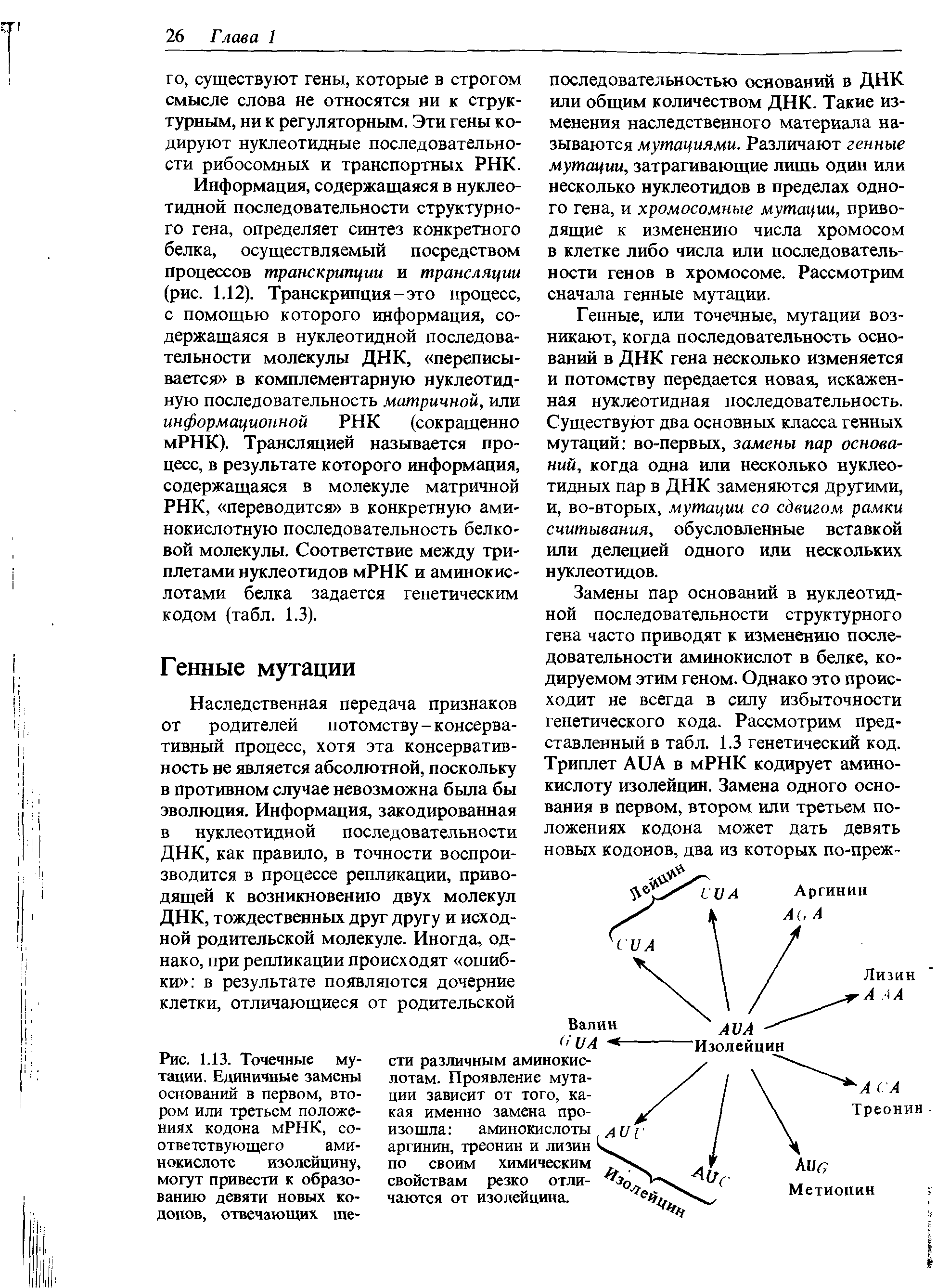 Рис. 1.13. Точечные мутации. Единичные замены оснований в первом, втором или третьем положениях кодона мРНК, соответствующего аминокислоте изолейцину, могут привести к образованию девяти новых кодонов, отвечающих ше-...