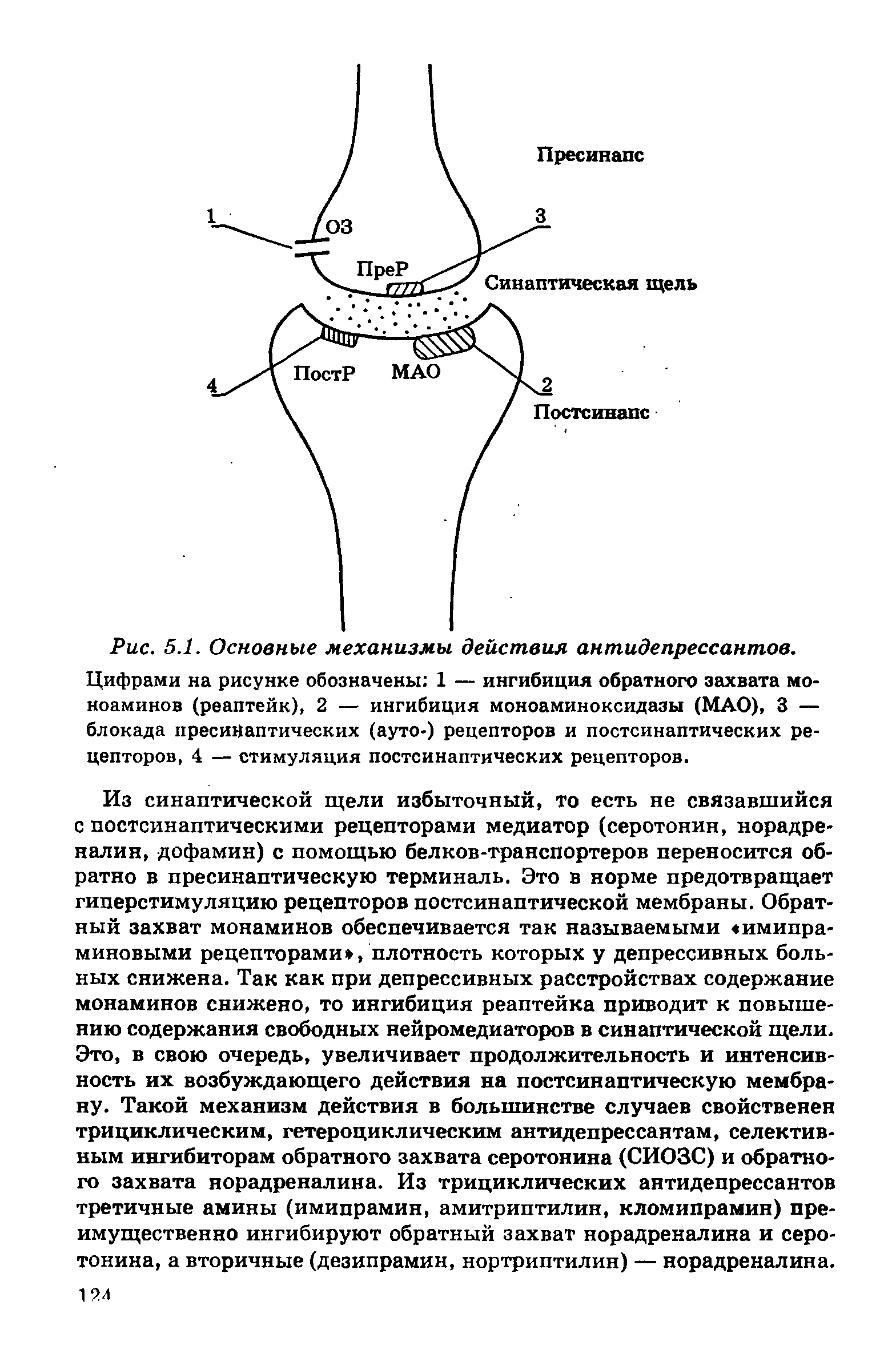 Рис. 5.1. Основные механизмы действия антидепрессантов. Цифрами на рисунке обозначены 1 — ингибиция обратного захвата моноаминов (реаптейк), 2 — ингибиция моноаминоксидазы (МАО), 3 — блокада пресиНаптических (ауто-) рецепторов и постсинаптических рецепторов, 4 — стимуляция постсинаптических рецепторов.