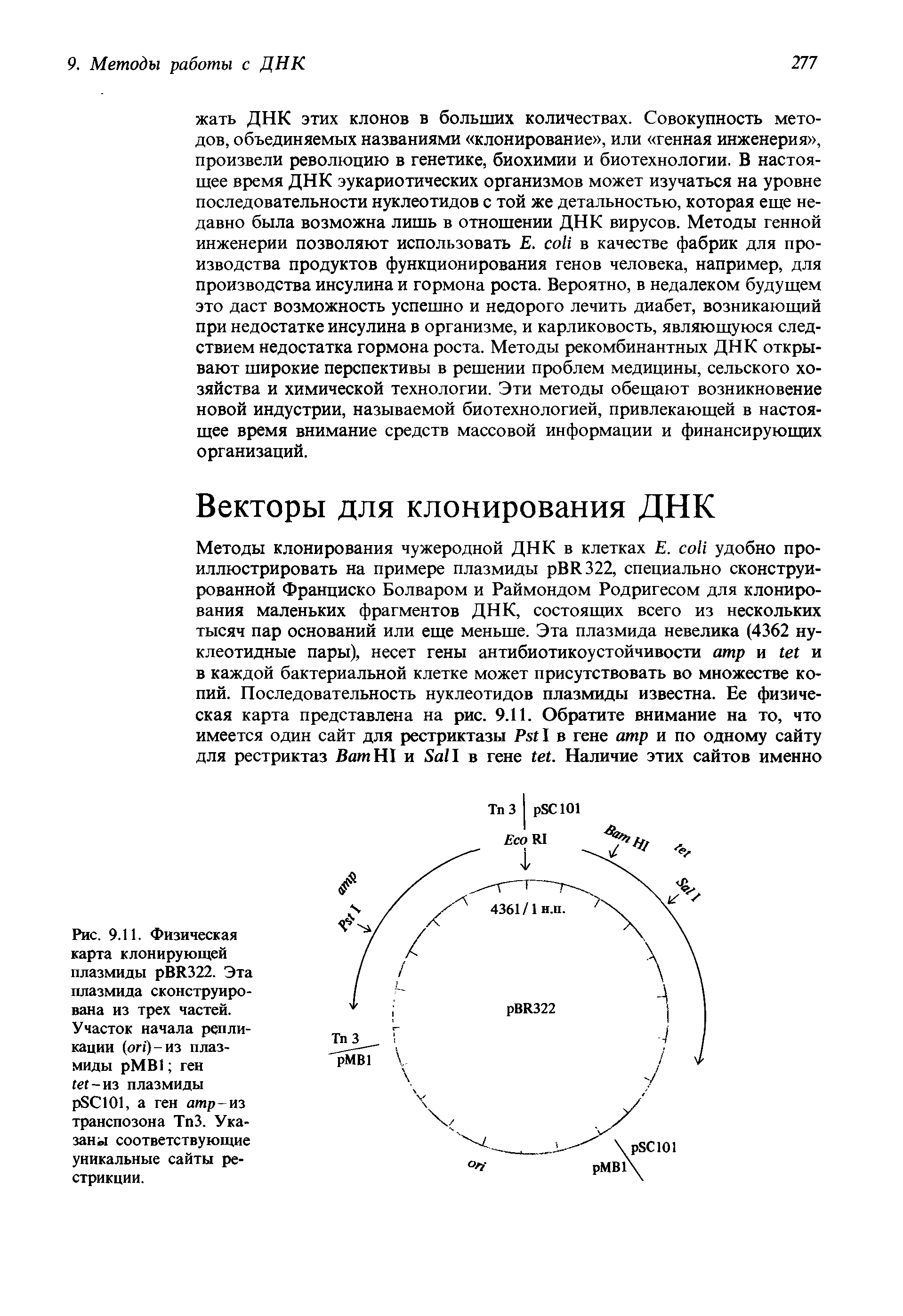 Рис. 9.11. Физическая карта клонирующей плазмиды BR322. Эта плазмида сконструирована из трех частей. Участок начала репликации ( )-из плазмиды рМВ1 ген -из плазмиды SC O , а ген атр-из транспозона ТпЗ. Указаны соответствующие уникальные сайты рестрикции.