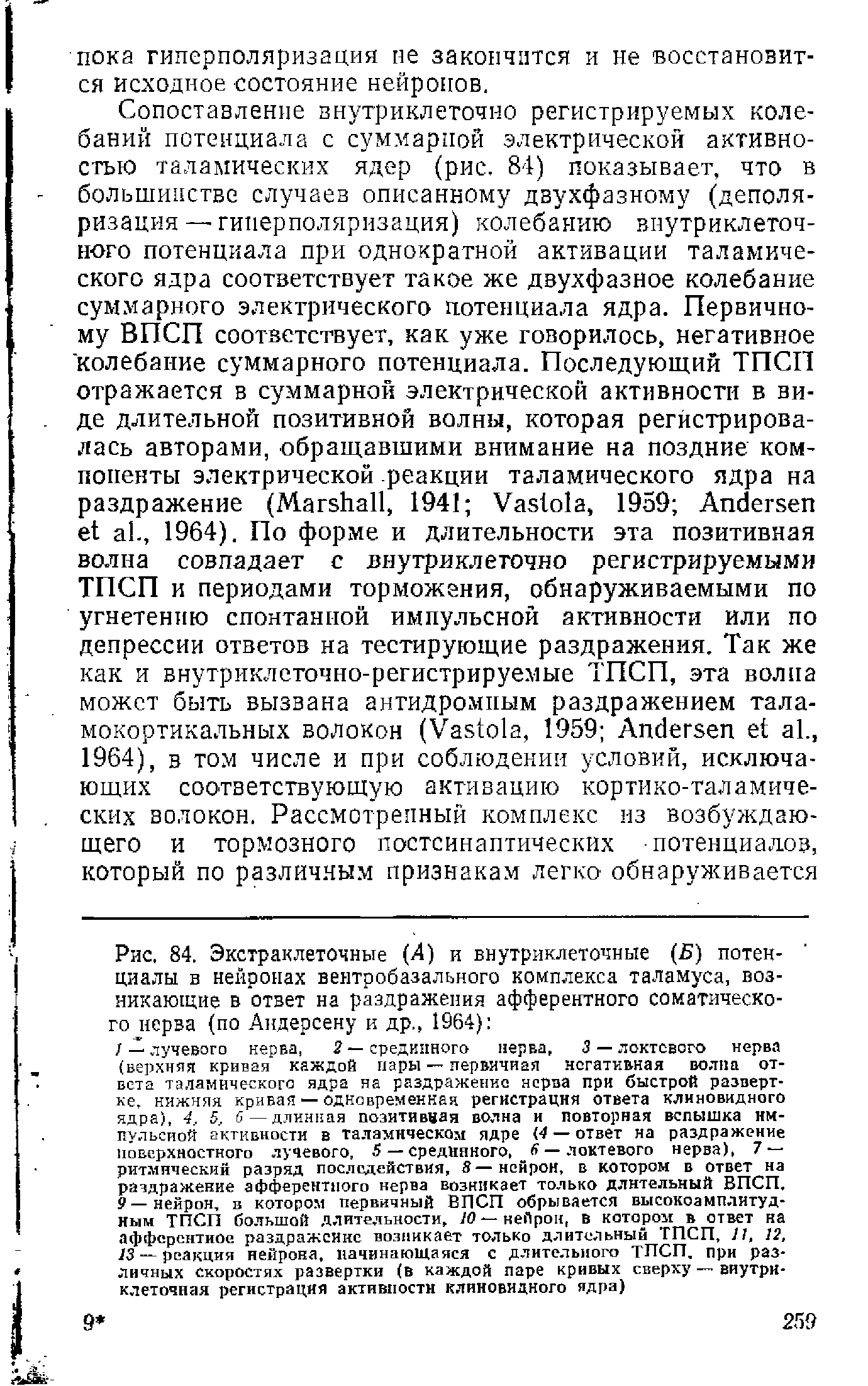 Рис. 84. Экстраклеточные (4) и внутриклеточные (А) потенциалы в нейронах вентробазального комплекса таламуса, возникающие в ответ на раздражения афферентного соматического нерва (по Андерсену и др., 1964) ...