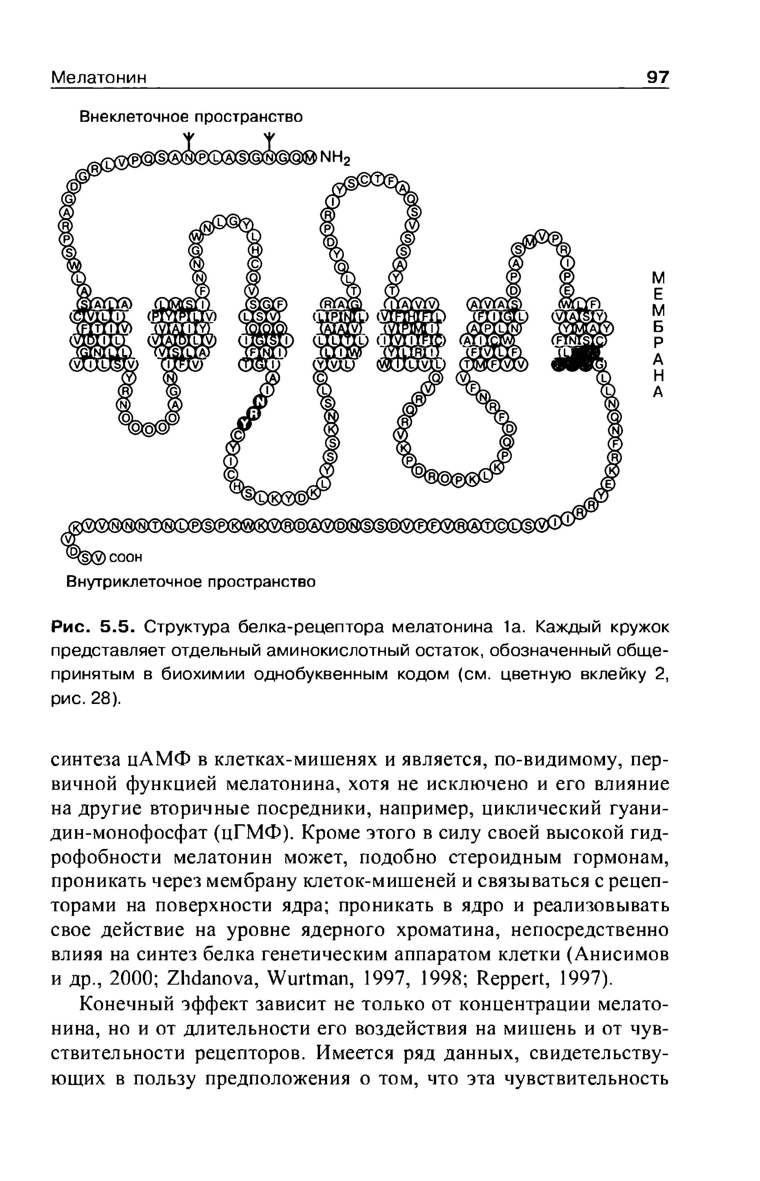 Рис. 5.5. Структура белка-рецептора мелатонина 1а. Каждый кружок представляет отдельный аминокислотный остаток, обозначенный общепринятым в биохимии однобуквенным кодом (см. цветную вклейку 2, рис. 28).