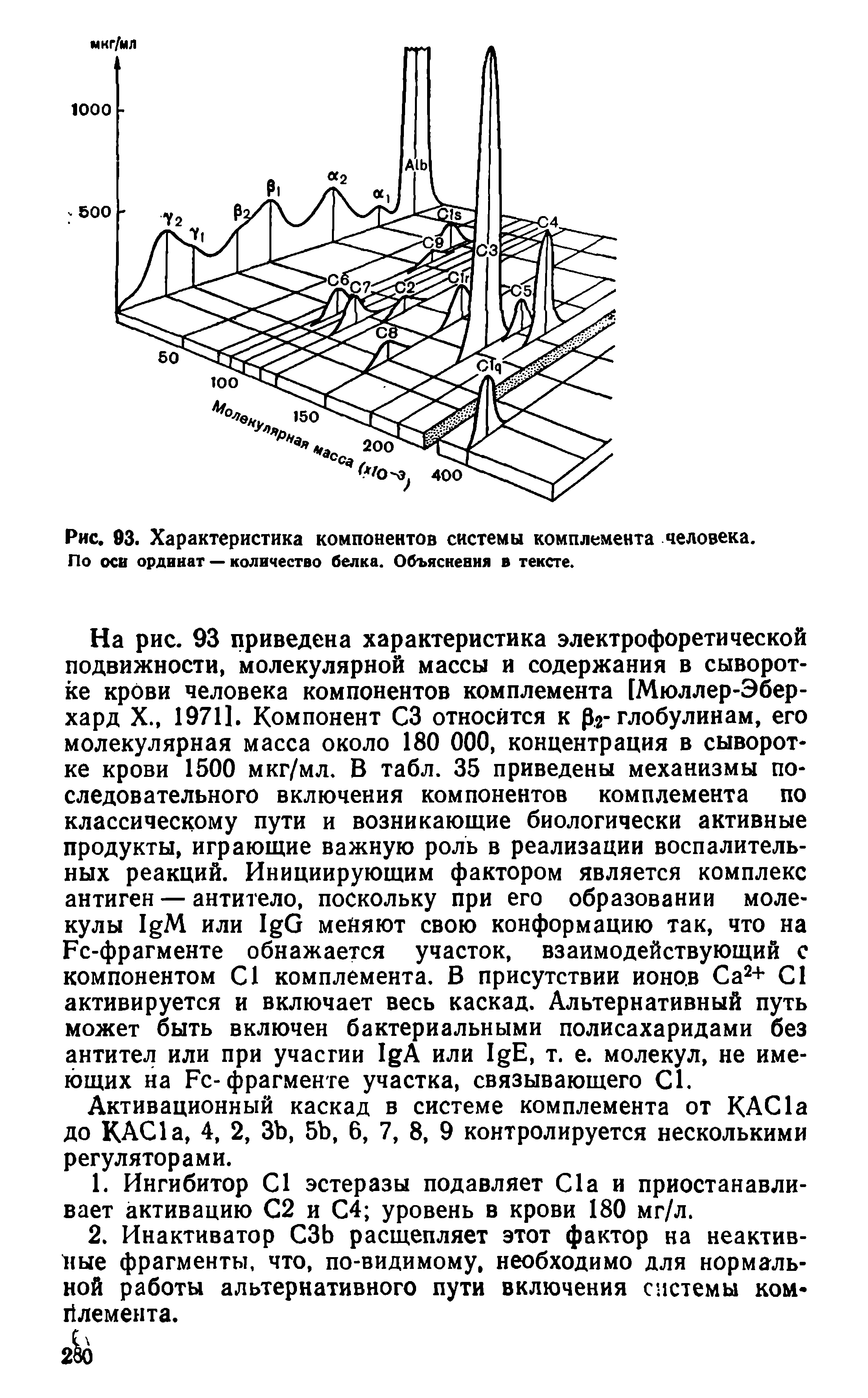 Рис. 93. Характеристика компонентов системы комплемента человека. По осн ординат — количество белка. Объяснения в тексте.