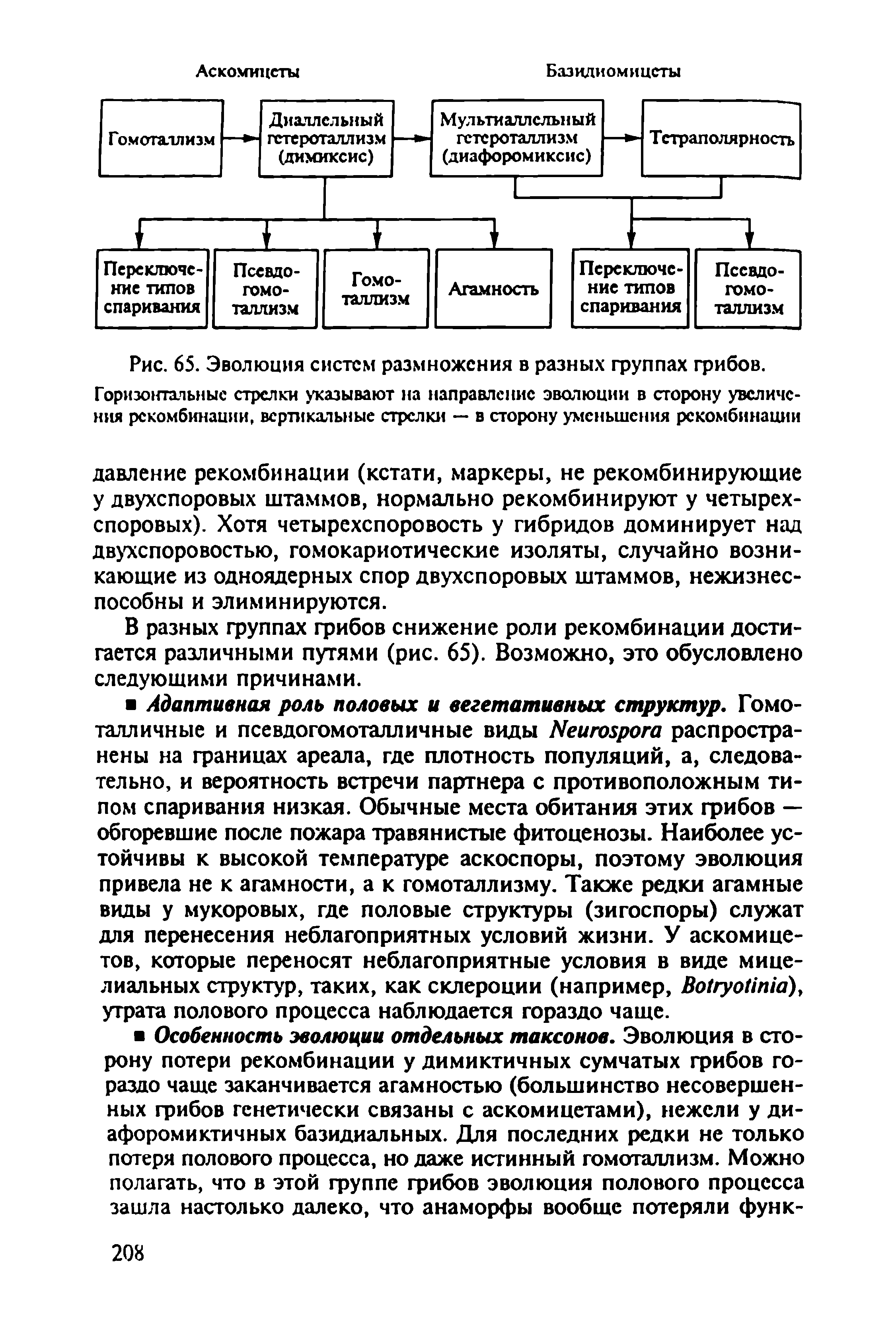 Рис. 65. Эволюция систем размножения в разных группах грибов. Горизонтальные стрелки указывают на направление эволюции в сторону увеличения рекомбинации, вертикальные стрелки — в сторону уменьшения рекомбинации...