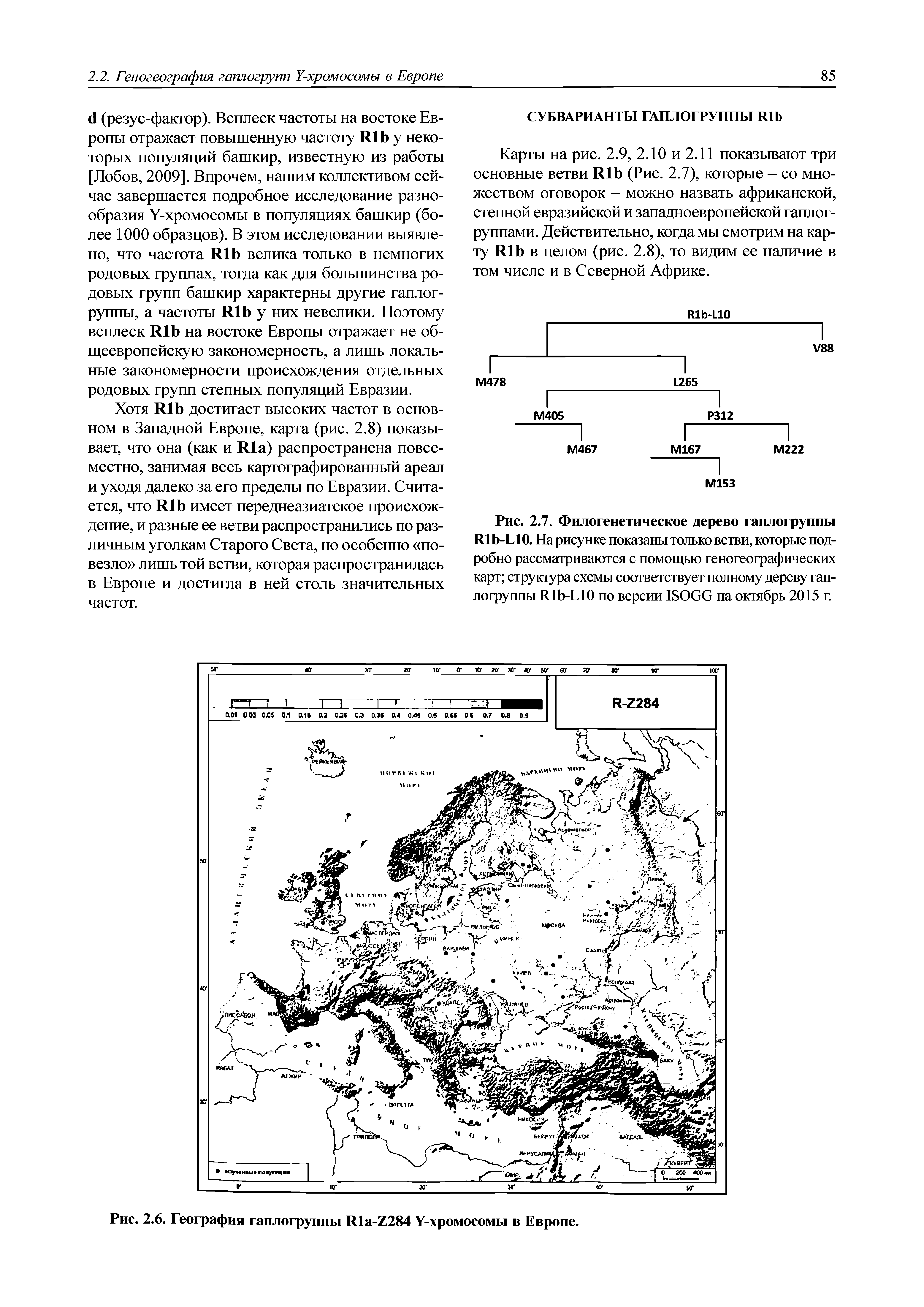 Рис. 2.7. Филогенетическое дерево гаплогруппы R -L10. На рисунке показаны только ветви, которые подробно рассматриваются с помощью геногеографических карт структура схемы соответствует полному дереву гаплогруппы R -L10 по версии ISOGG на октябрь 2015 г.