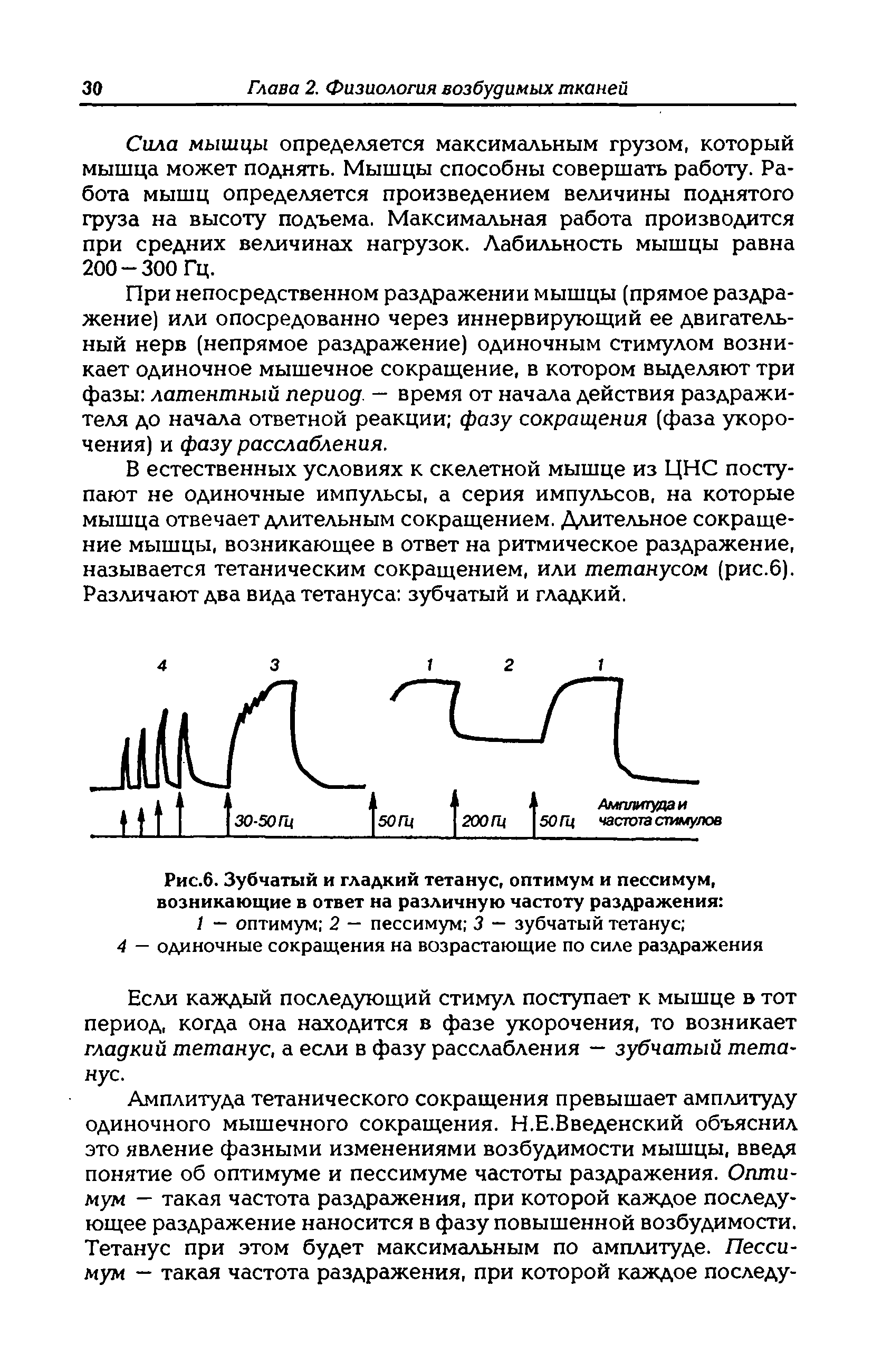 Рис.6. Зубчатый и гладкий тетанус, оптимум и пессимум, возникающие в ответ на различную частоту раздражения 1 — оптимум 2 — пессимум 3 — зубчатый тетанус ...