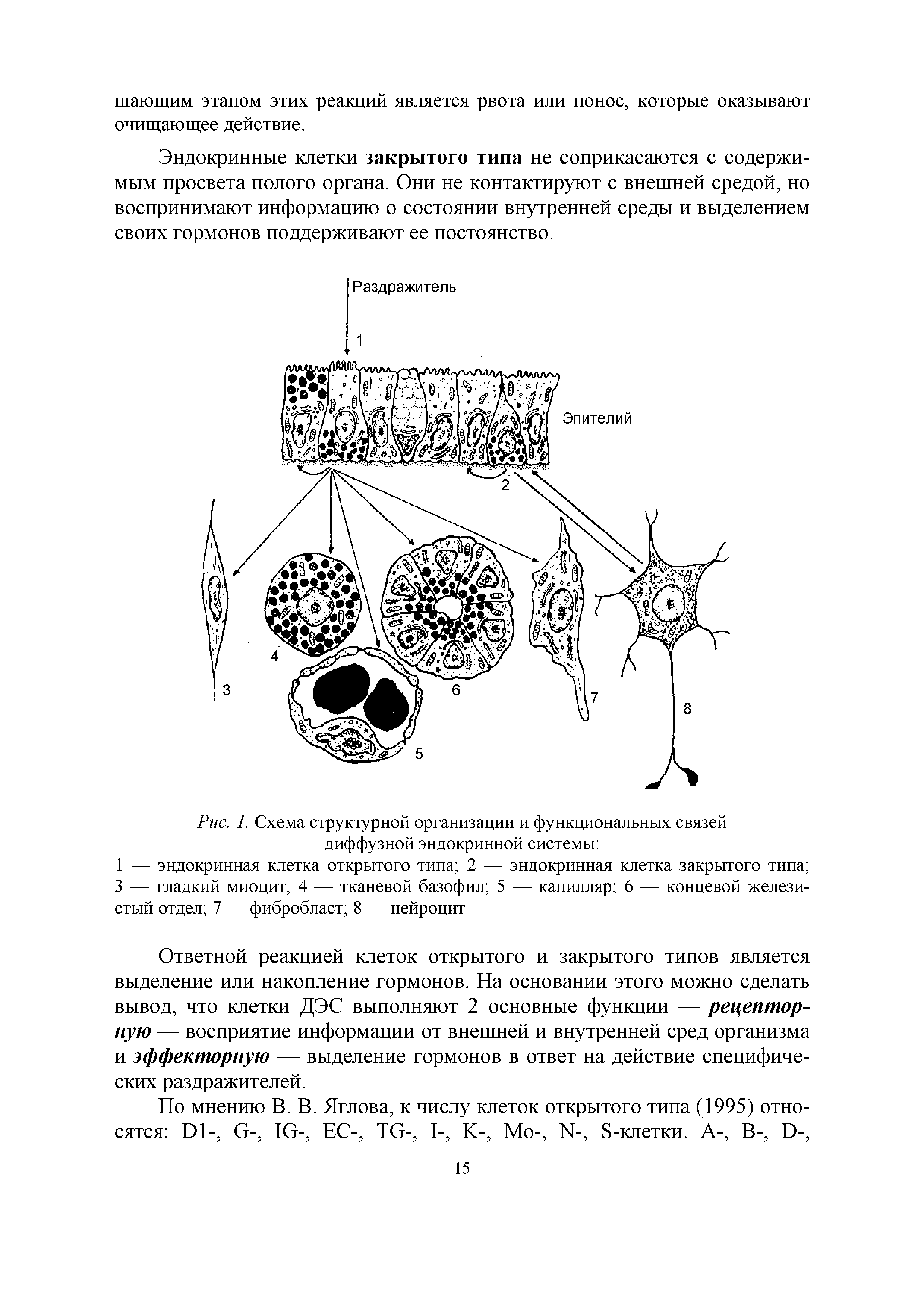 Рис. 1. Схема структурной организации и функциональных связей диффузной эндокринной системы ...