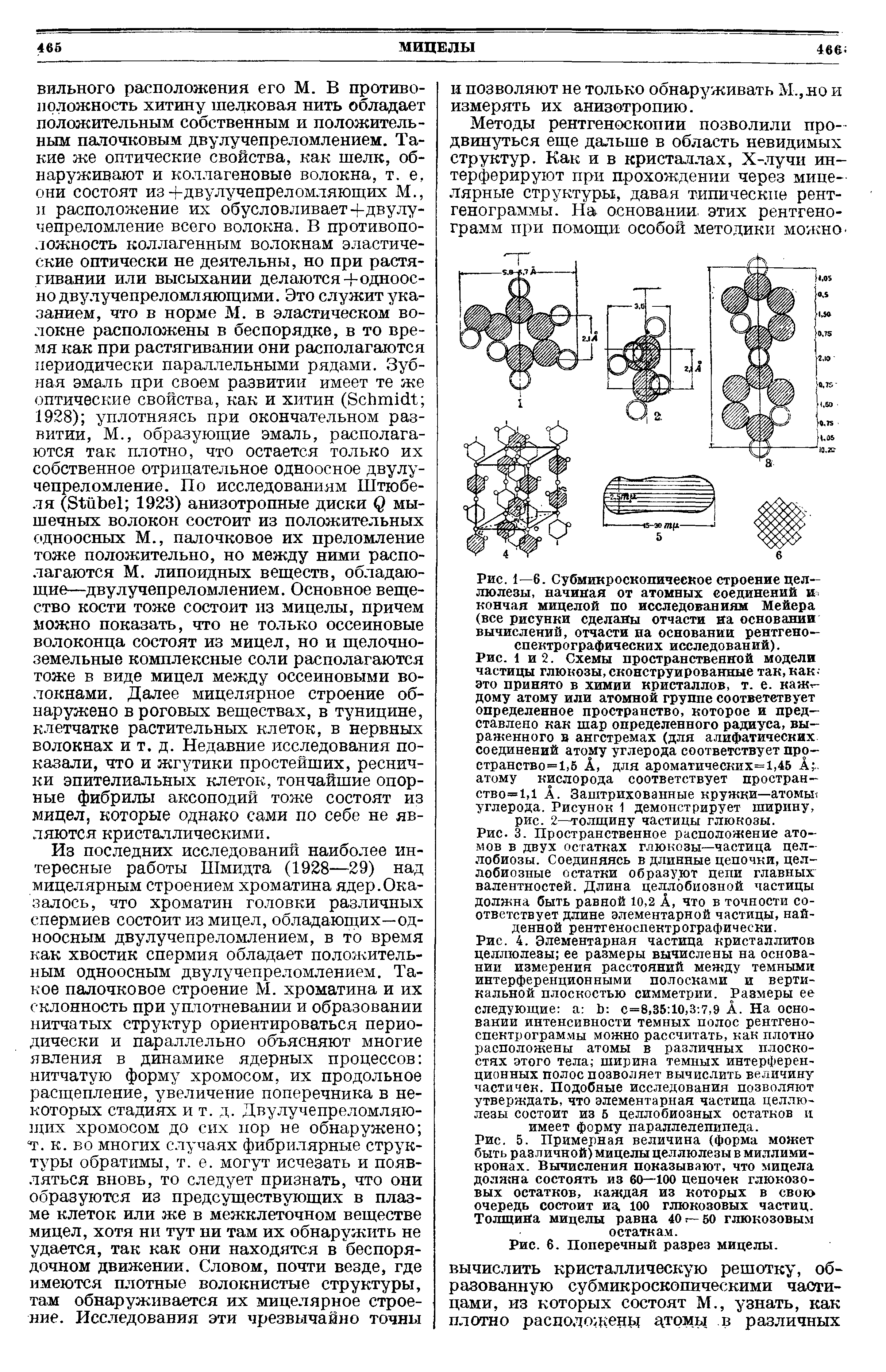 Рис. 5. Примерная величина (форма может быть различной) мицелы целлюлезы в миллимикронах. Вычисления показывают, что мицела должна состоять из 60—100 цепочек глюкозовых остатков, каждая из которых в свою очередь состоит из, 100 глюкозовых частиц. Толщина мицелы равна 40 г—50 глюкозовым остаткам.