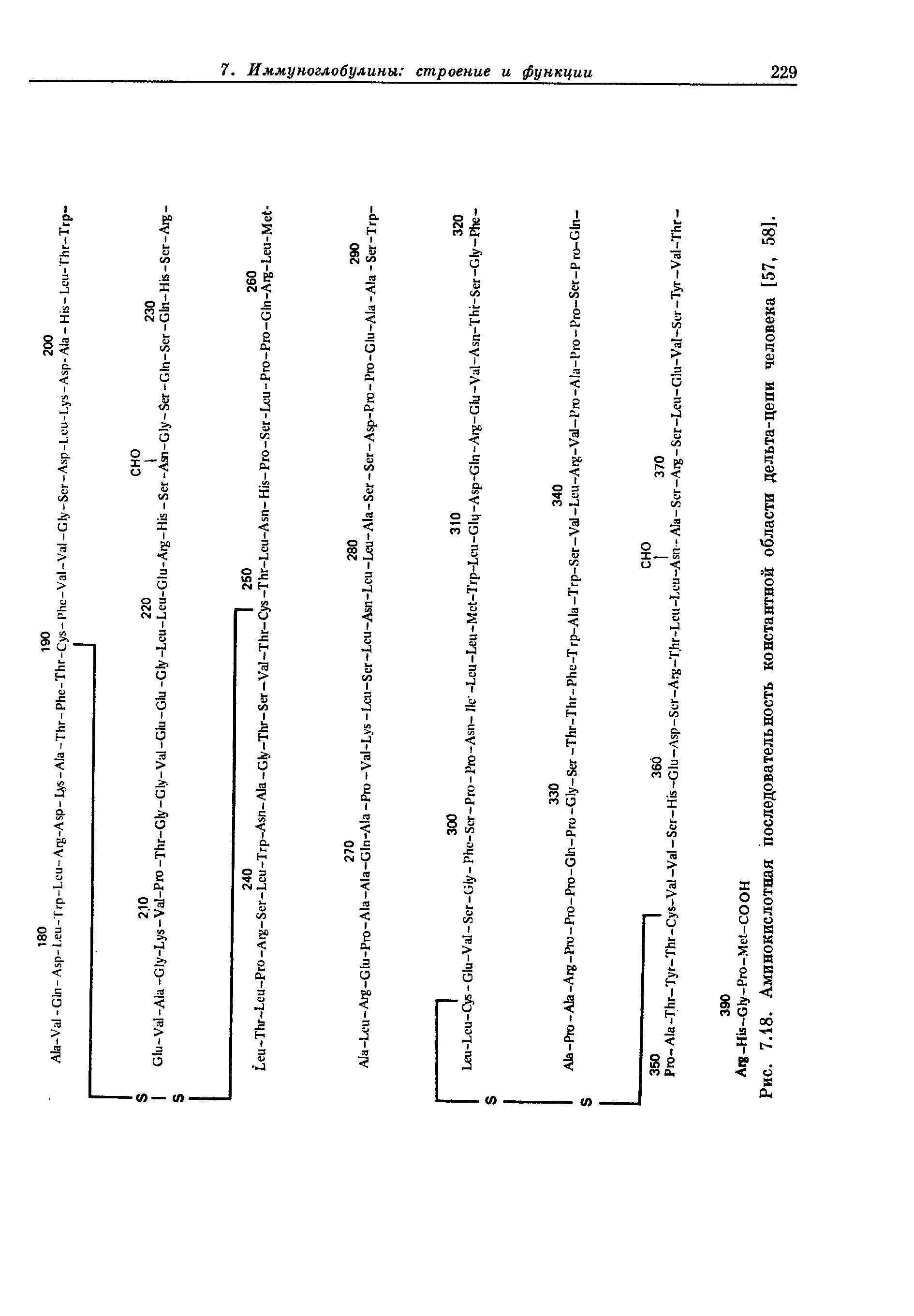 Рис. 7.18. Аминокислотная последовательность константной области дельта-цепи человека [57, 58].