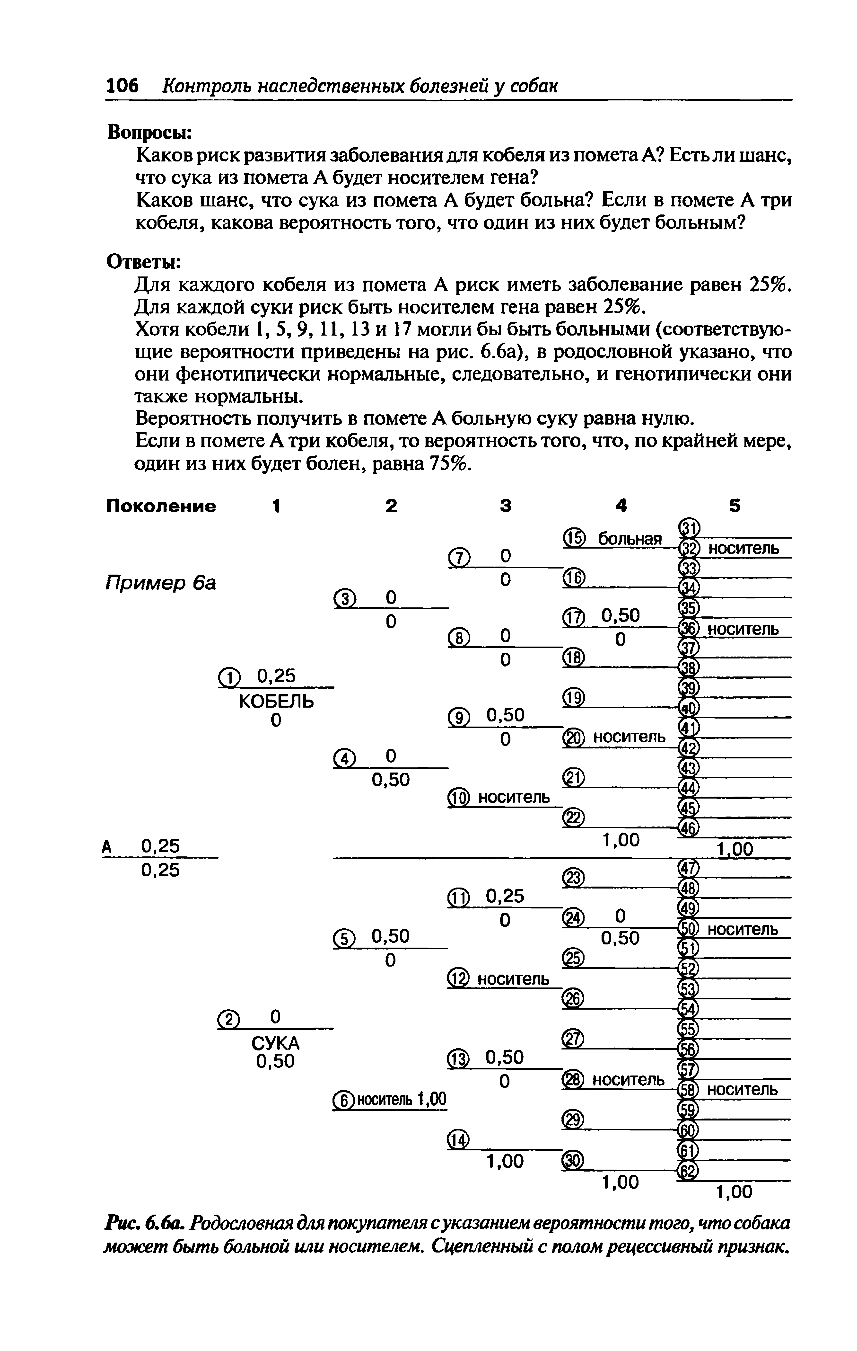 Рис. 6.6а. Родословная для покупателя с указанием вероятности того, что собака может быть больной или носителем. Сцепленный с полом рецессивный признак.