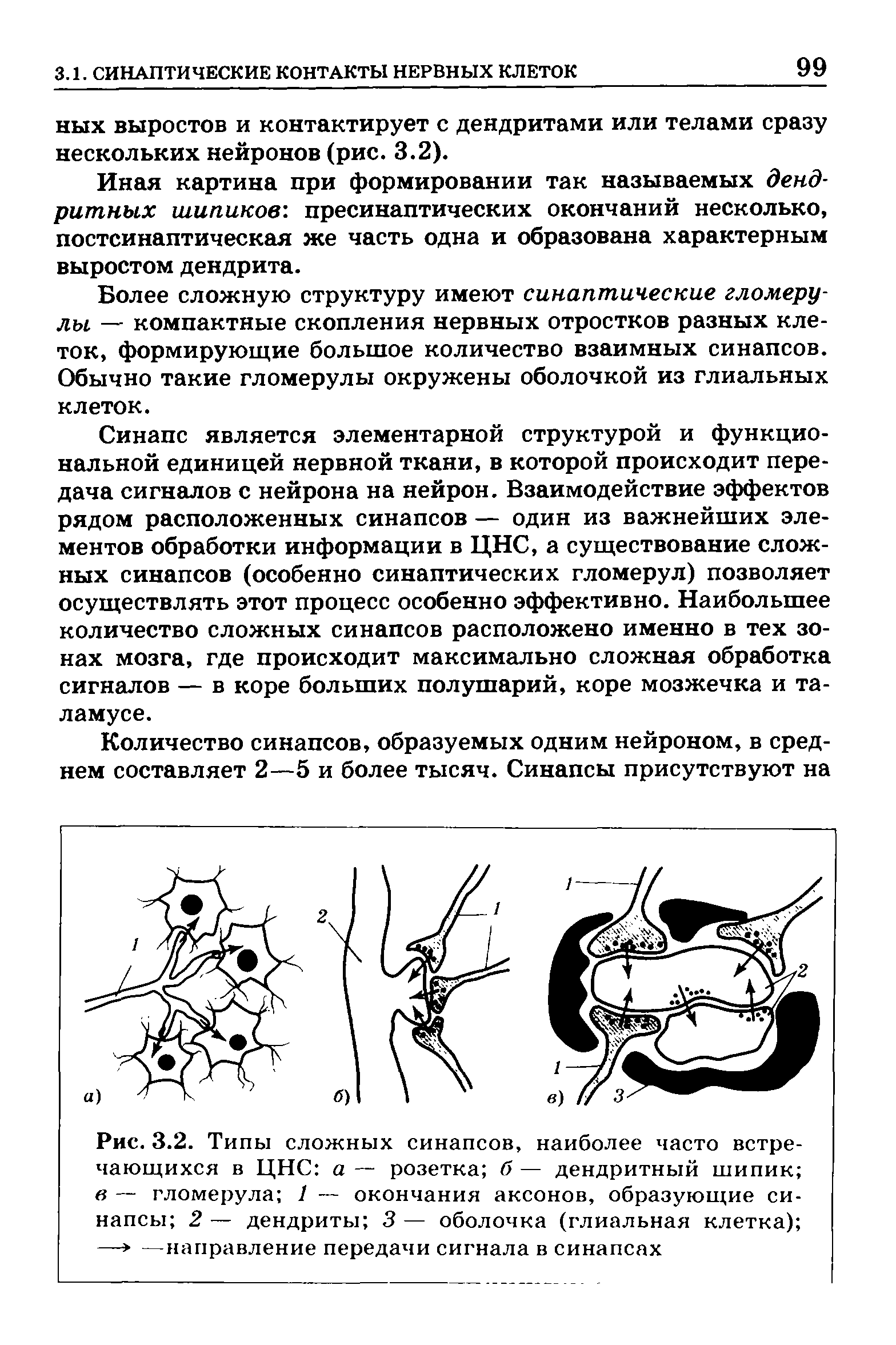 Рис. 3.2. Типы сложных синапсов, наиболее часто встречающихся в ЦНС а — розетка б — дендритный шипик в —- гломерула 1 — окончания аксонов, образующие синапсы 2 — дендриты 3 — оболочка (глиальная клетка) —> —направление передачи сигнала в синапсах...