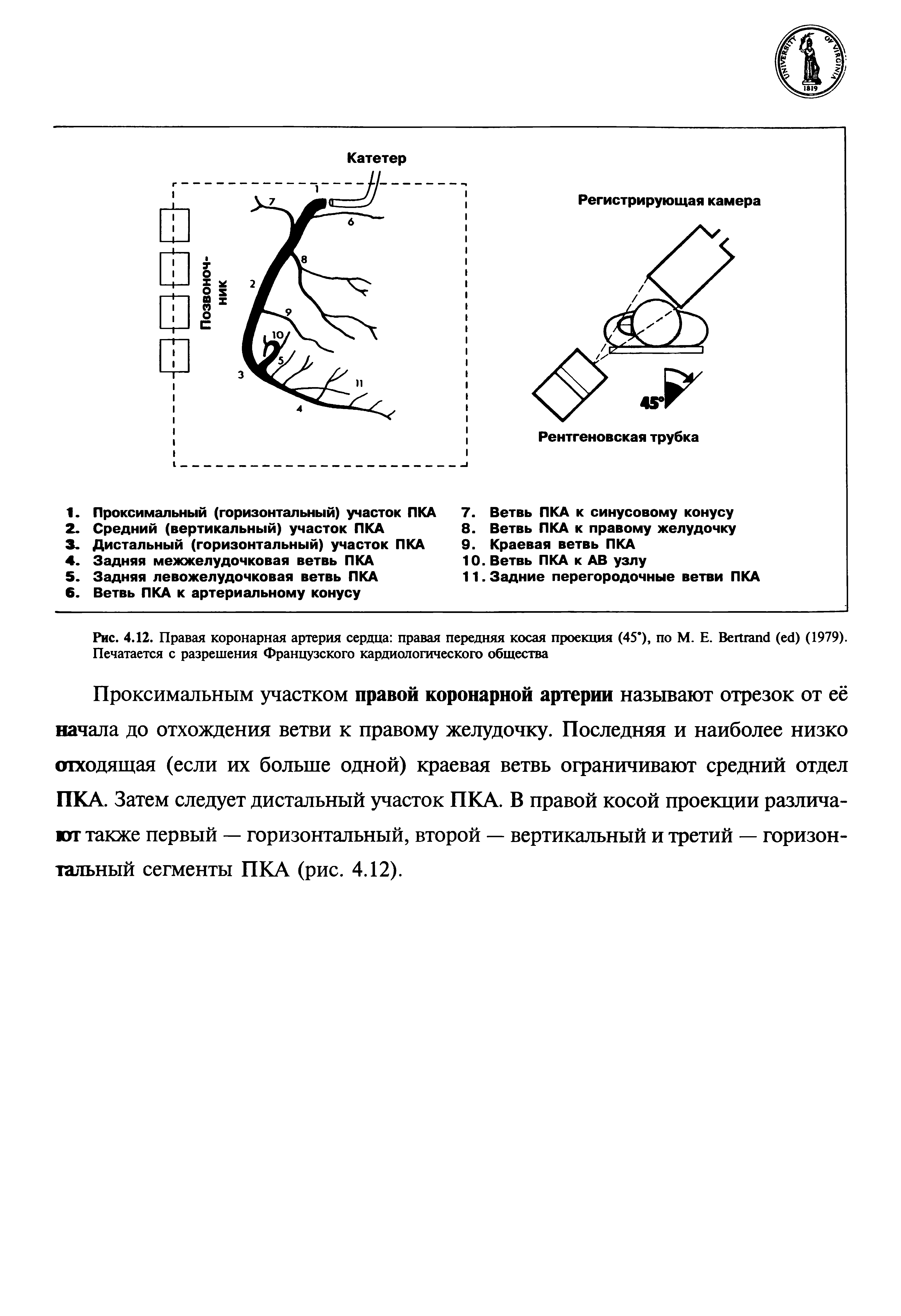 Рис. 4.12. Правая коронарная артерия сердца правая передняя косая проекция (45е), по М. Е. B ( ) (1979). Печатается с разрешения Французского кардиологического общества...