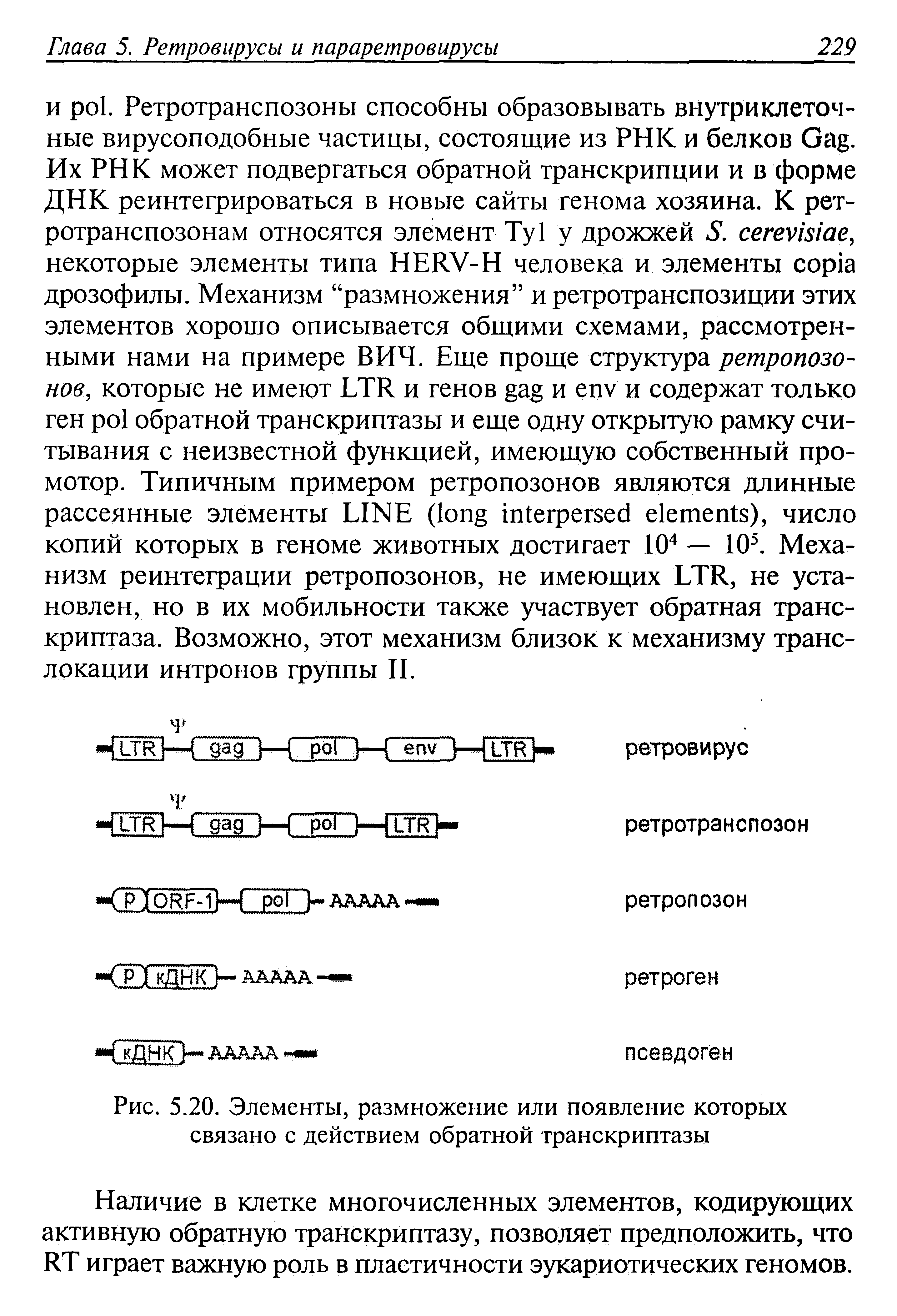 Рис. 5.20. Элементы, размножение или появление которых связано с действием обратной транскриптазы...