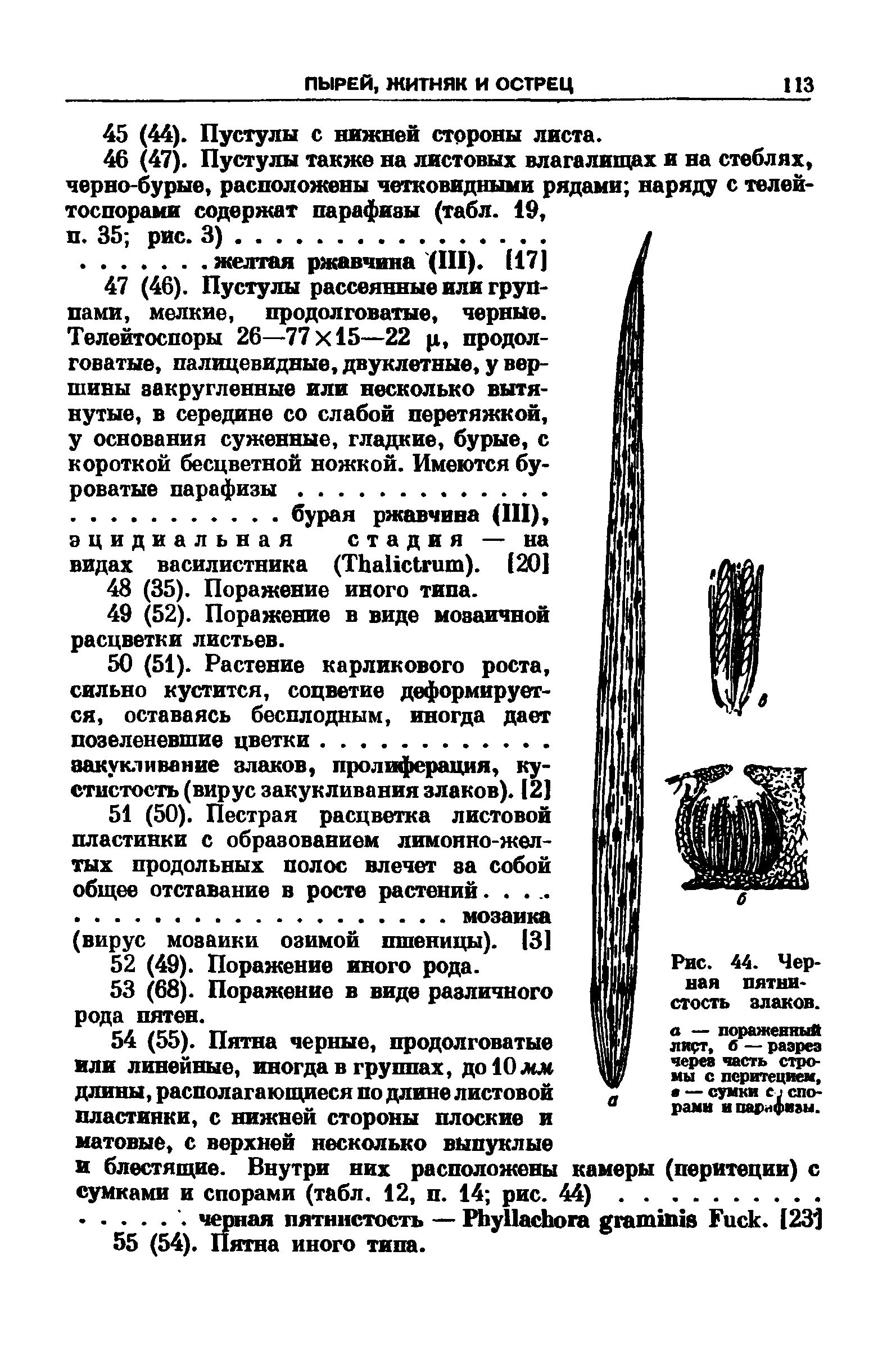 Рис. 44. Черная пятнистость злаков, а — пораженный лирт, б — разрез через часть стромы с перитецием, в — сумки с 2 спо рами ипарнфиэы.