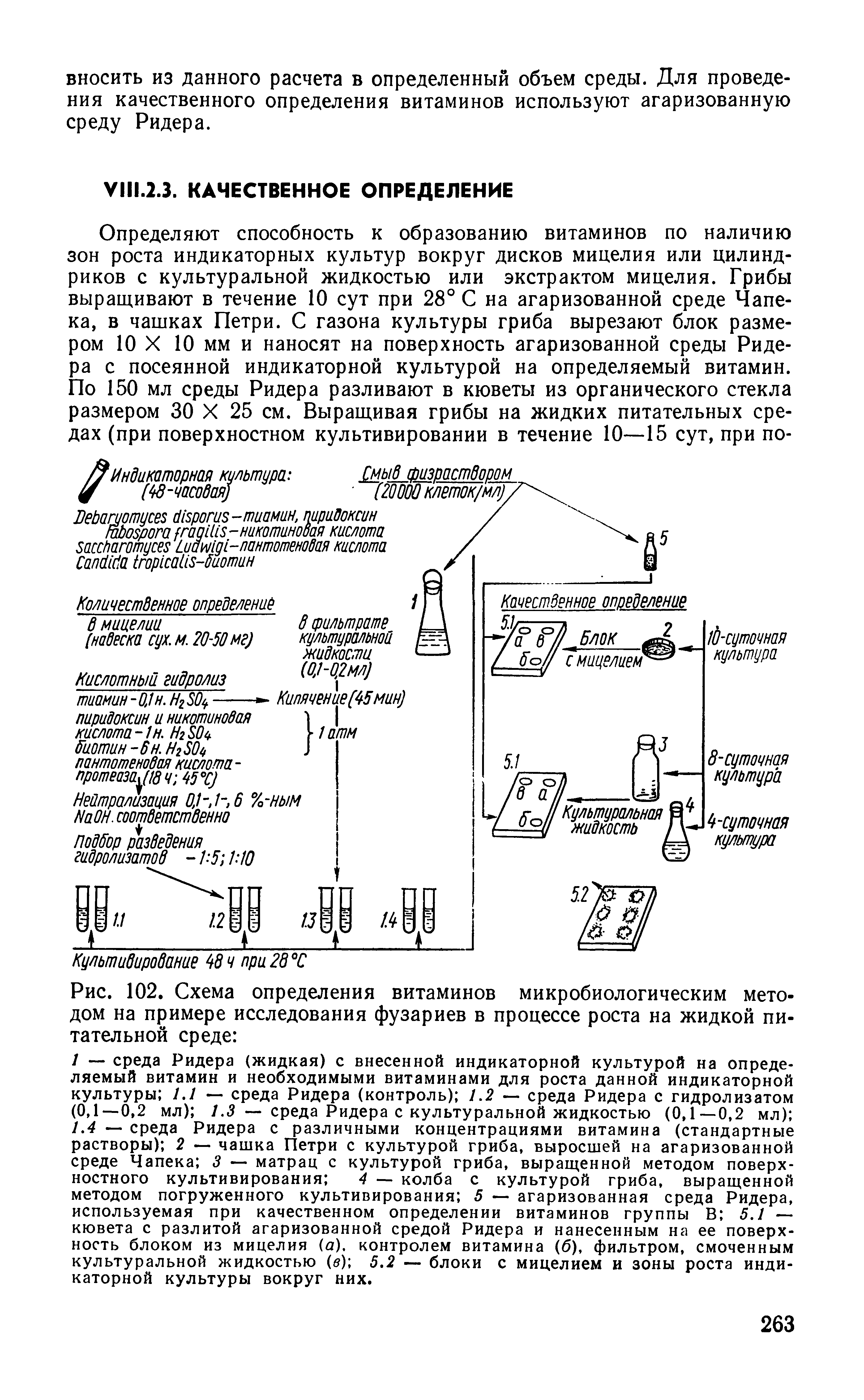 Рис. 102. Схема определения витаминов микробиологическим методом на примере исследования фузариев в процессе роста на жидкой питательной среде ...