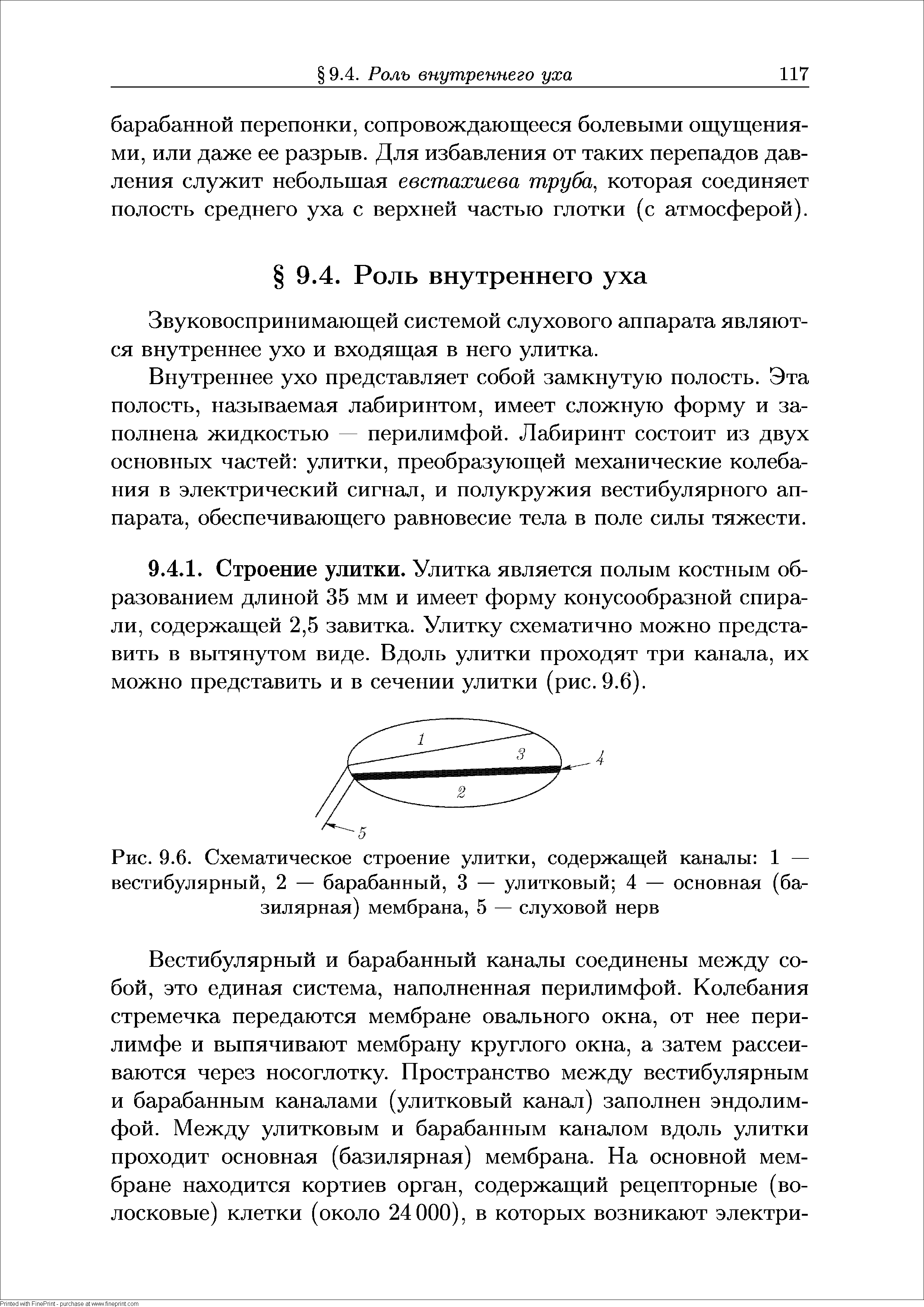 Рис. 9.6. Схематическое строение улитки, содержащей каналы 1 — вестибулярный, 2 — барабанный, 3 — улитковый 4 — основная (базилярная) мембрана, 5 — слуховой нерв...