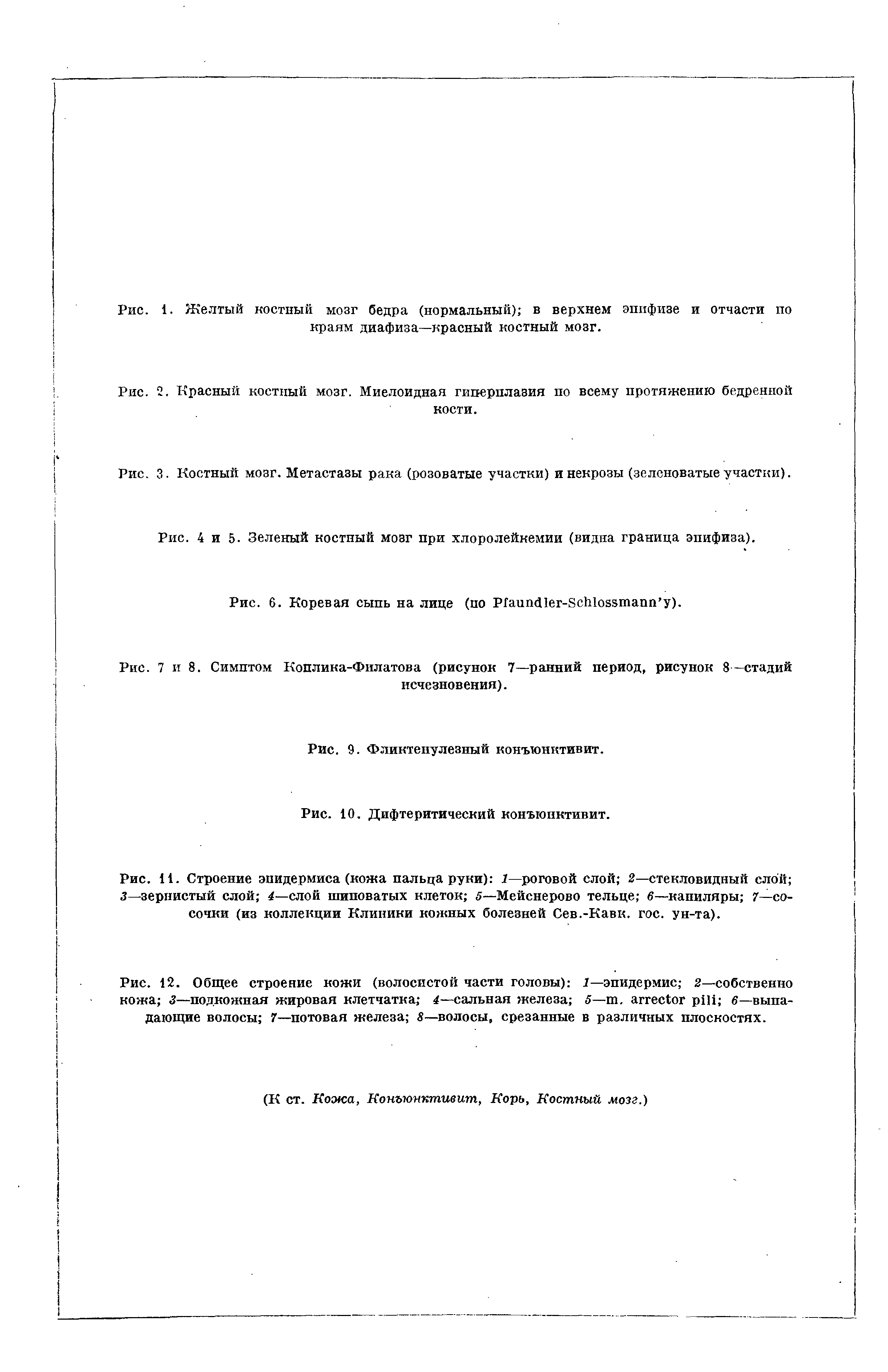 Рис. 11. Строение эпидермиса (кожа пальца руки) 1—роговой слой 2—стекловидный слой 3—зернистый слой 4—слой шиповатых клеток 5—Мейснерово тельце в—капиляры 7—сосочки (из коллекции Клиники кожных болезней Сев.-Кавк. гос. ун-та).