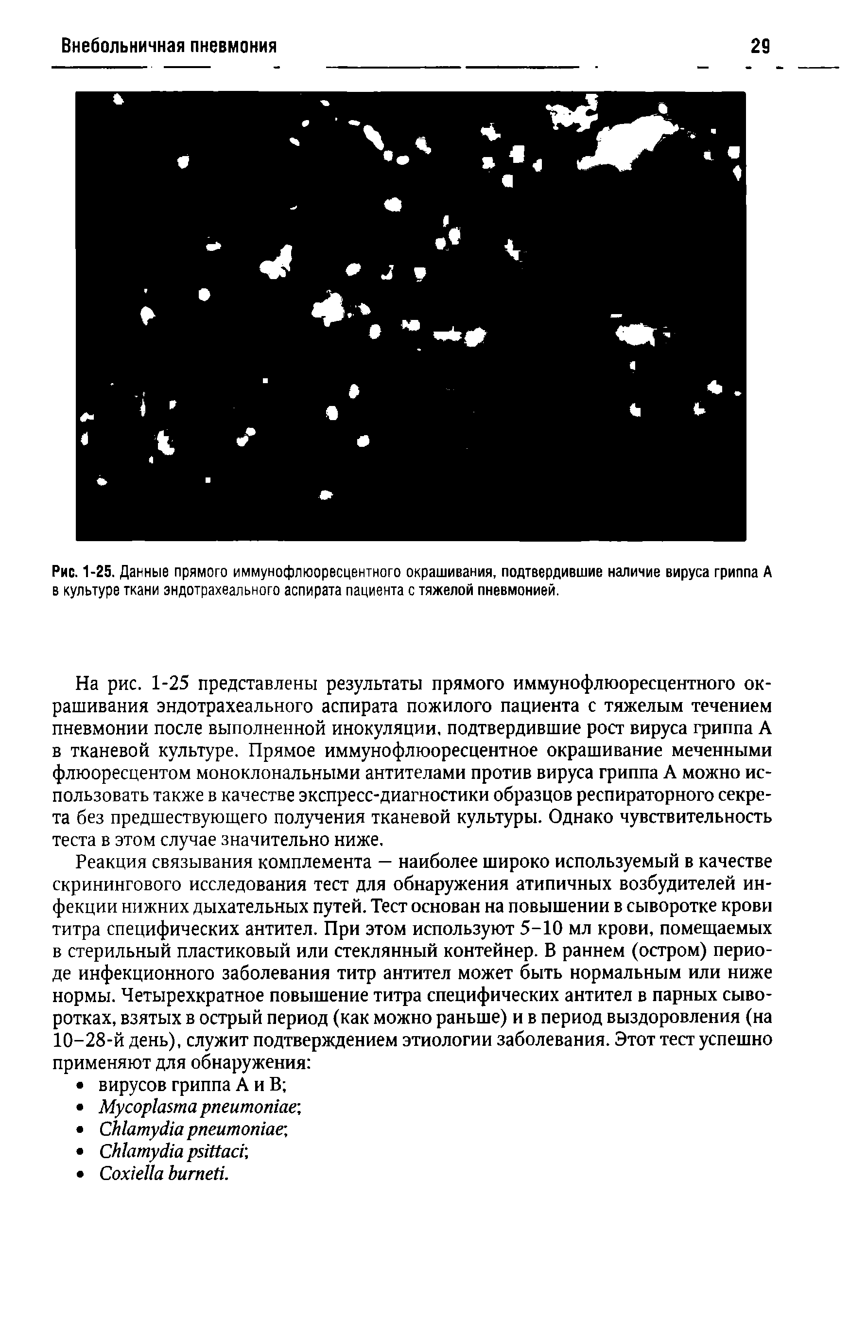 Рис. 1-25. Данные прямого иммунофлюоресцентного окрашивания, подтвердившие наличие вируса гриппа А в культуре ткани эндотрахеального аспирата пациента с тяжелой пневмонией.