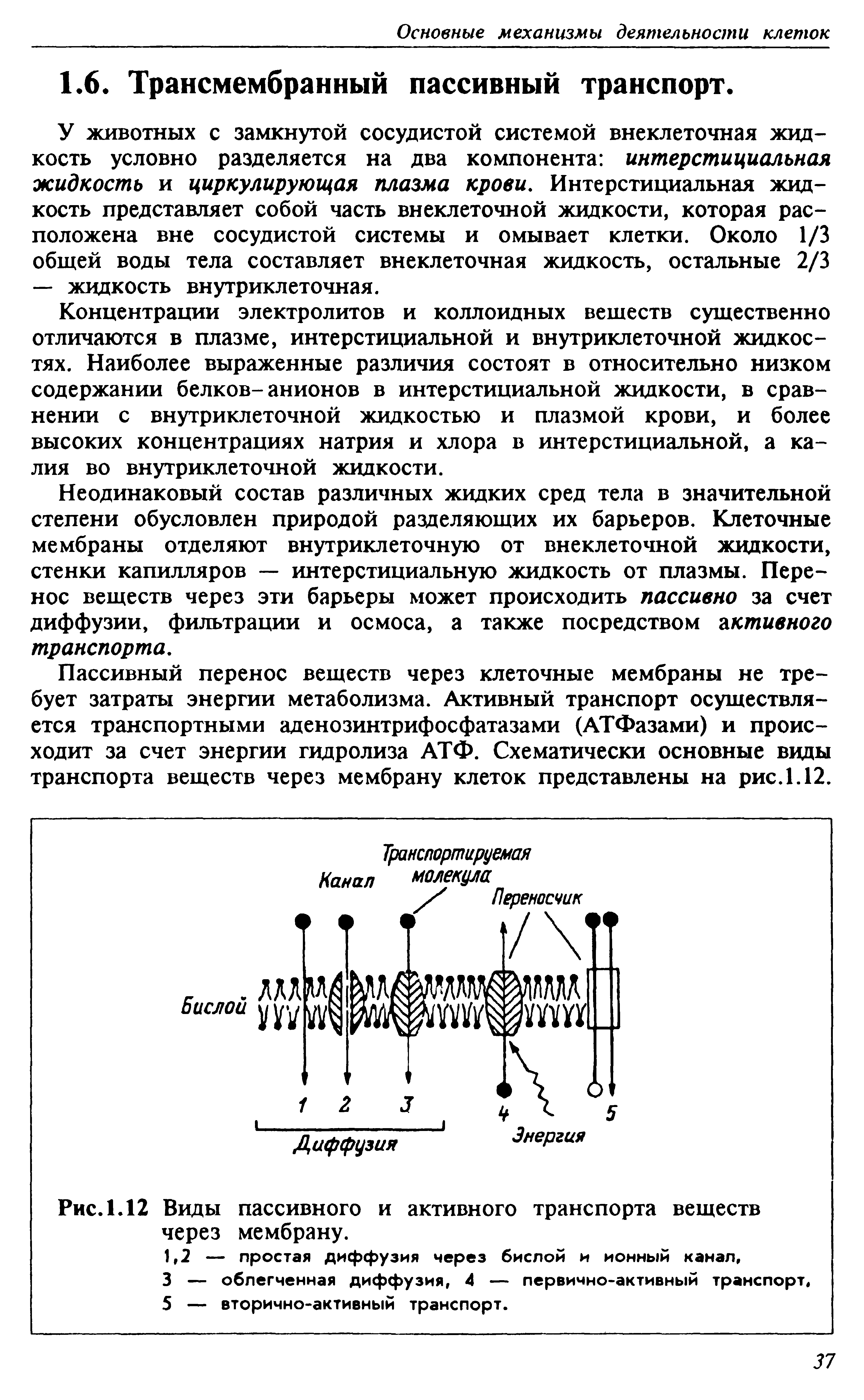 Рис. 1.12 Виды пассивного и активного транспорта веществ через мембрану.