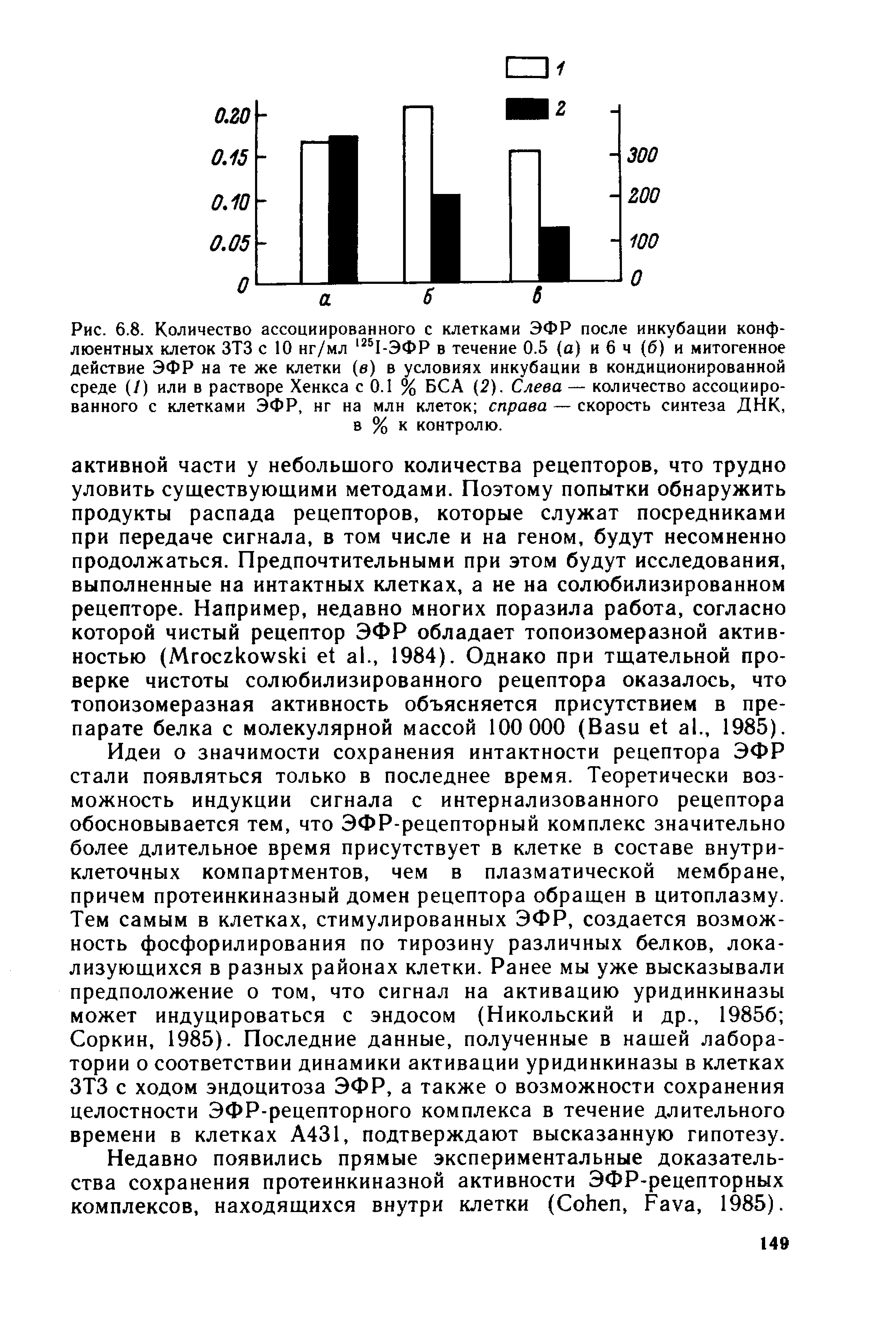 Рис. 6.8. Количество ассоциированного с клетками ЭФР после инкубации конф-люентных клеток ЗТЗ с Ю нг/мл 1251-ЭФР в течение 0.5 (а) и 6 ч (б) и митогенное действие ЭФР на те же клетки (в) в условиях инкубации в кондиционированной среде (/) или в растворе Хенкса с 0.1 % БСА (2). Слева — количество ассоциированного с клетками ЭФР, нг на млн клеток справа — скорость синтеза ДНК, в % к контролю.