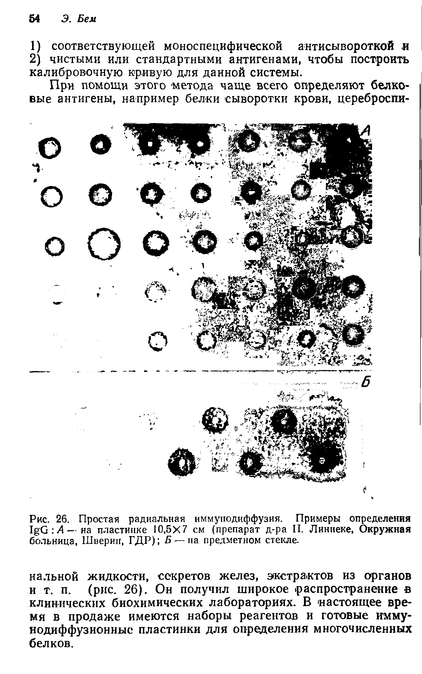 Рис. 26. Простая радиальная иммунодиффузия. Примеры определения I G А — на пластинке 10,5X7 см (препарат д-ра II. Линнеке, Окружная больница, Шверин, ГДР) Б — на предметном стекле.