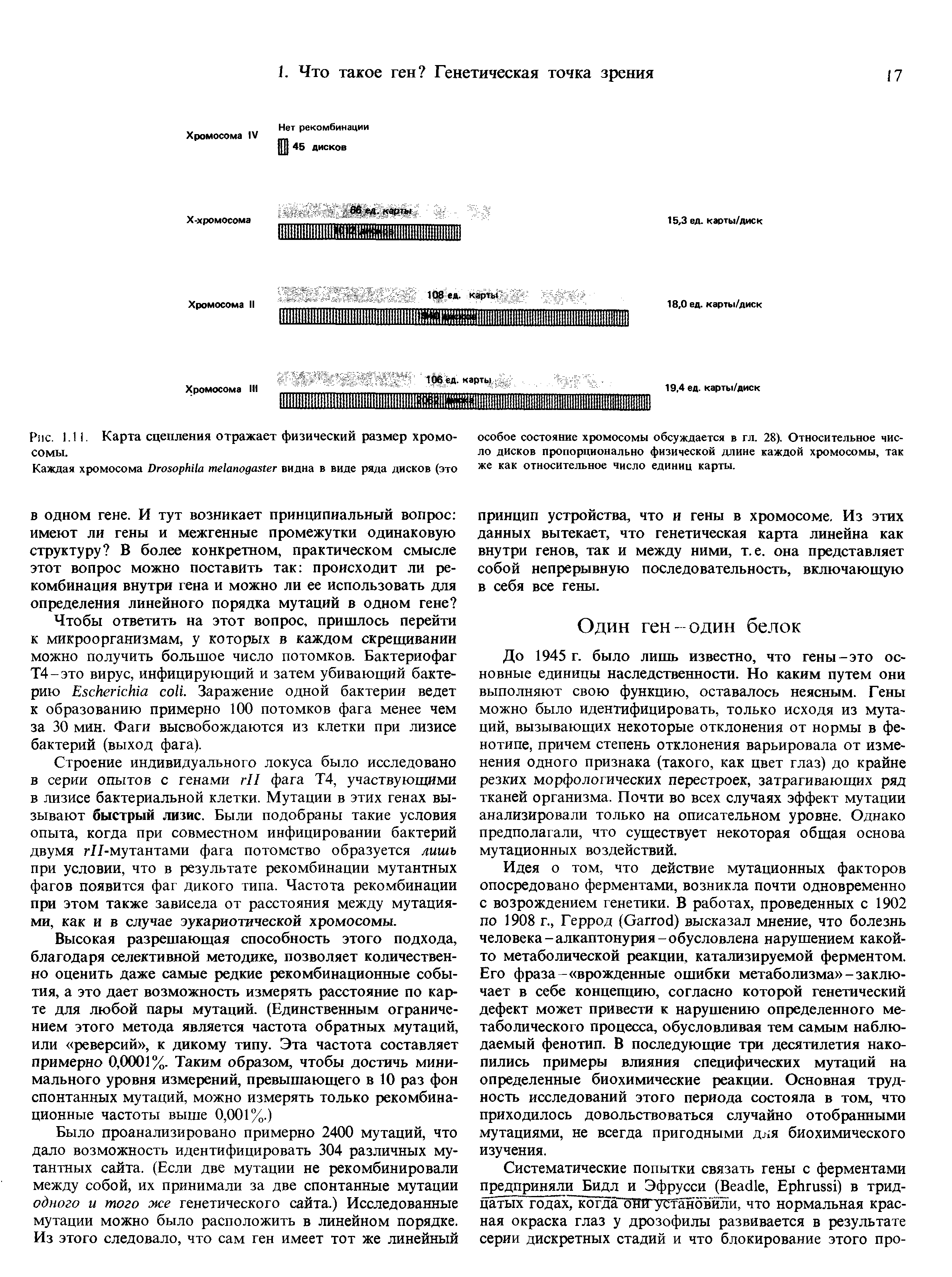 Рис. 1.11. Карта сцепления отражает физический размер хромосомы.