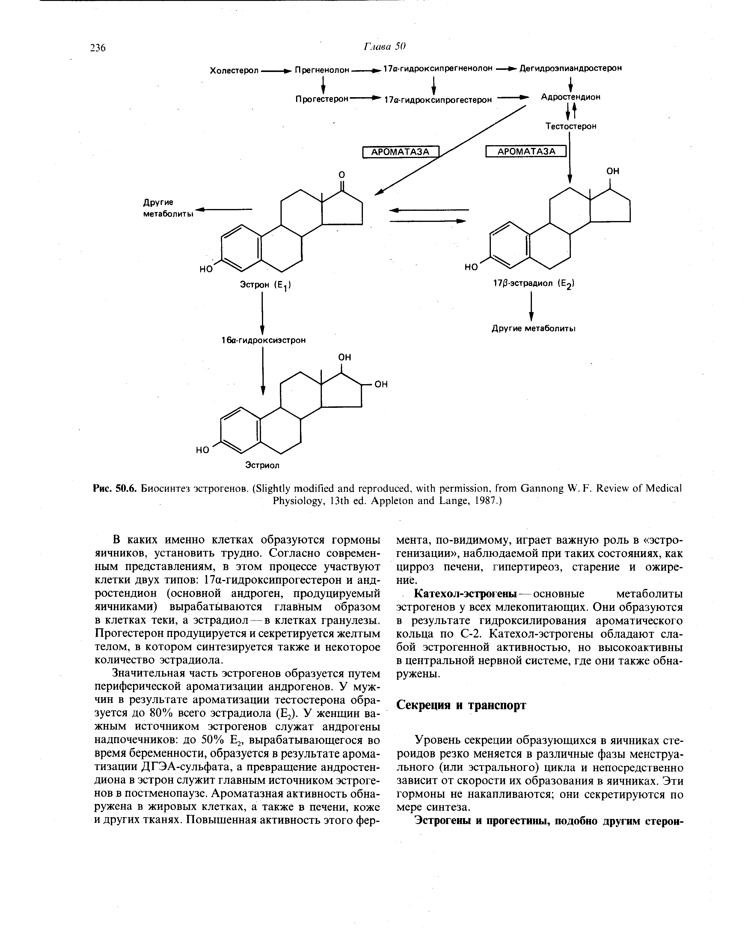 Рис. 50.6. Биосинтез эстрогенов. (S , , G W. F. R M P , 13 . A L , 1987.)...