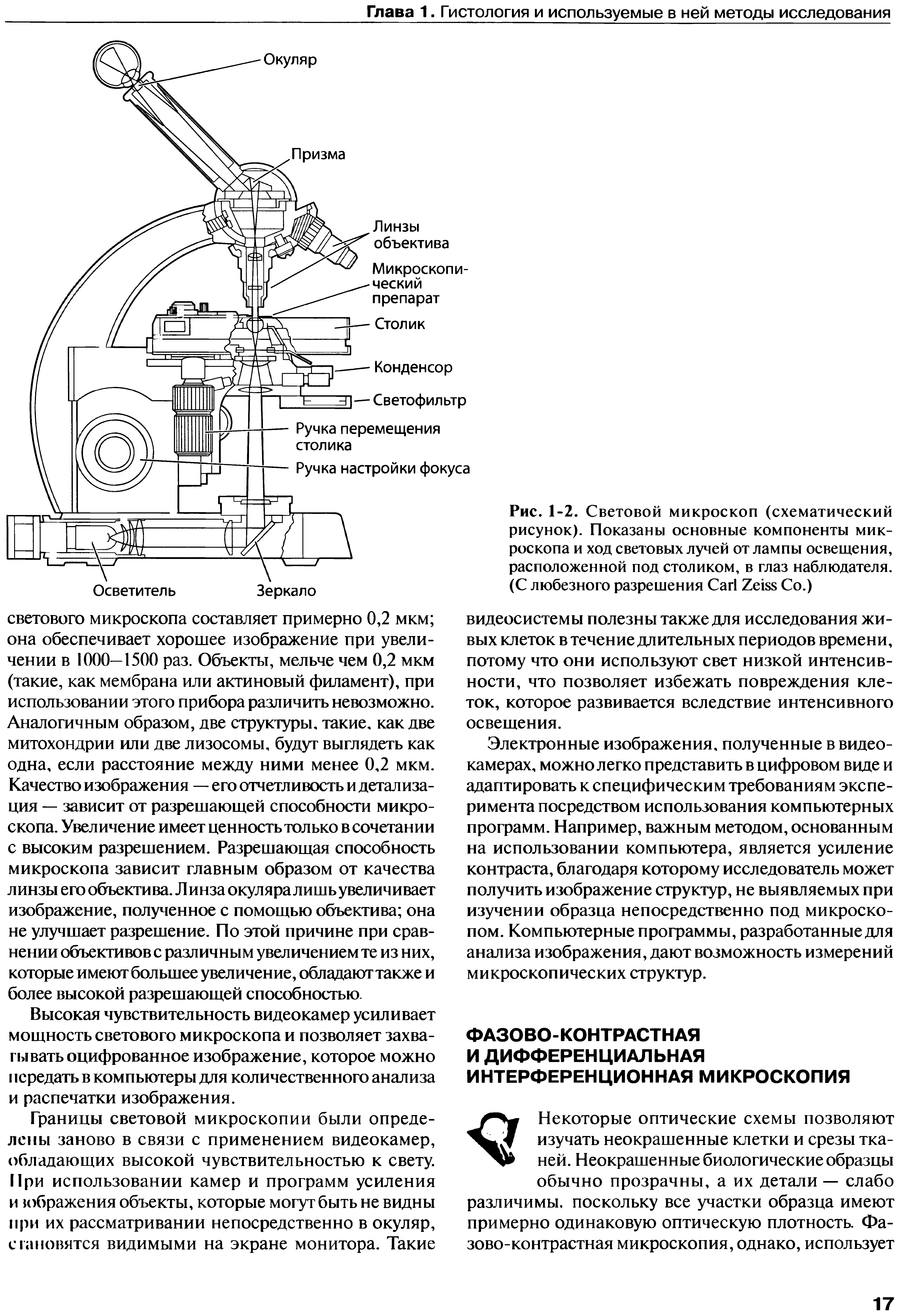 Рис. 1-2. Световой микроскоп (схематический рисунок). Показаны основные компоненты микроскопа и ход световых лучей от лампы освещения, расположенной под столиком, в глаз наблюдателя. (С любезного разрешения C Z Со.)...