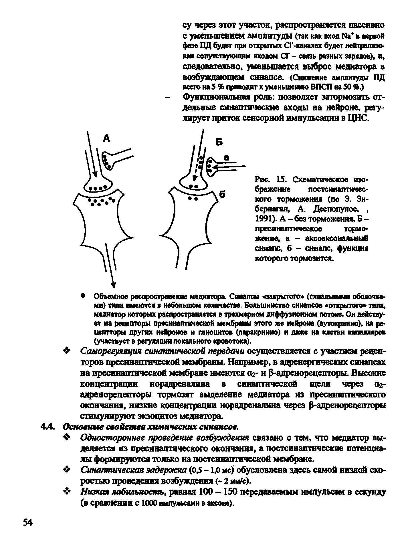 Рис. 15. Схематическое изображение постсииаптичес-кого торможения (по 3. Зи-бернагал, А. Деспопулос,, 1991). А - без торможения, Б -пресинатттическое торможение, а - аксоаксональный сниапс, б - синапс, функция которого тормозится.