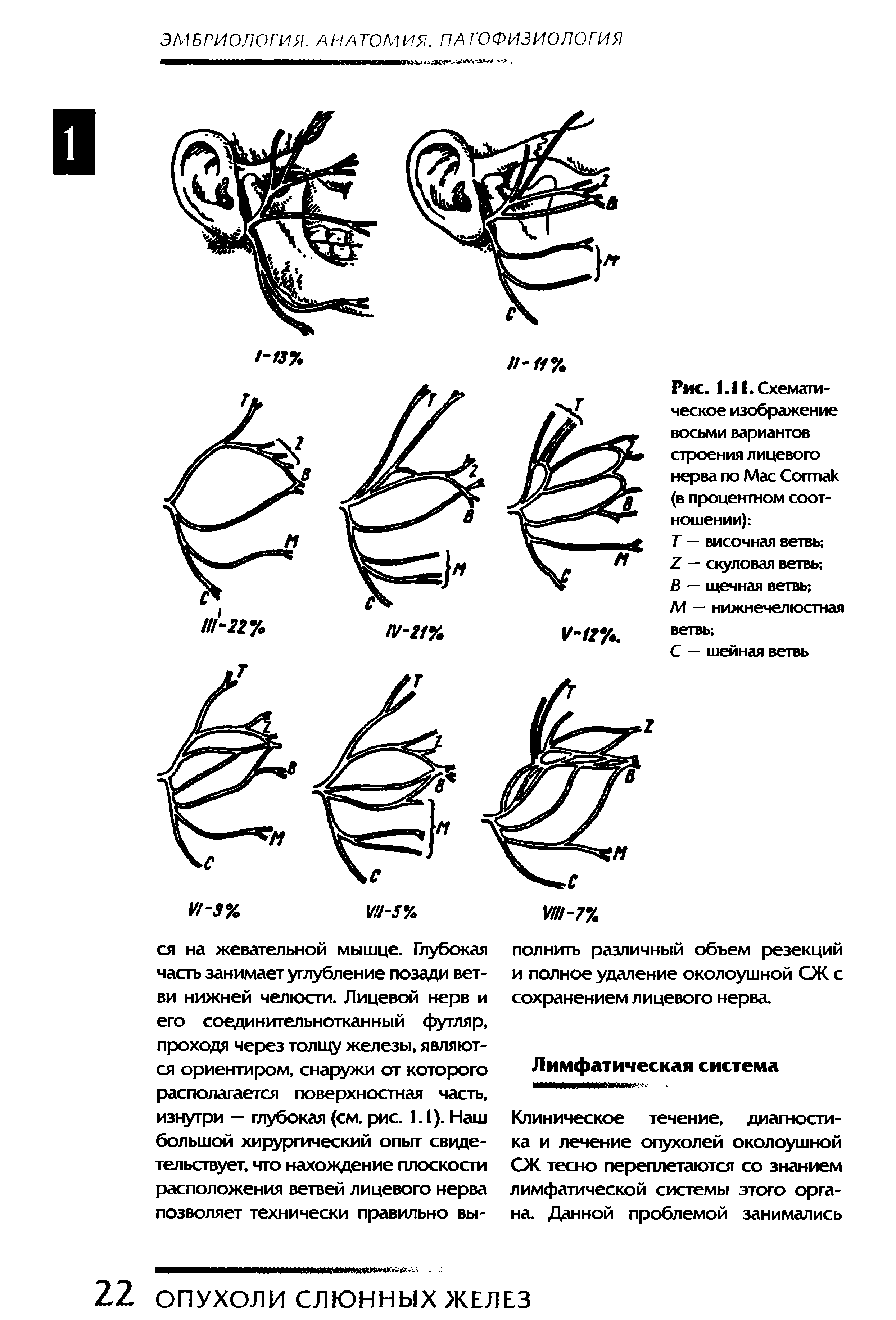 Рис. 1.11. Схематическое изображение восьми вариантов строения лицевого нерва по Мас Согтак (в процентном соотношении) Т — височная ветвь — скуловая ветвь В — щечная ветвь ...