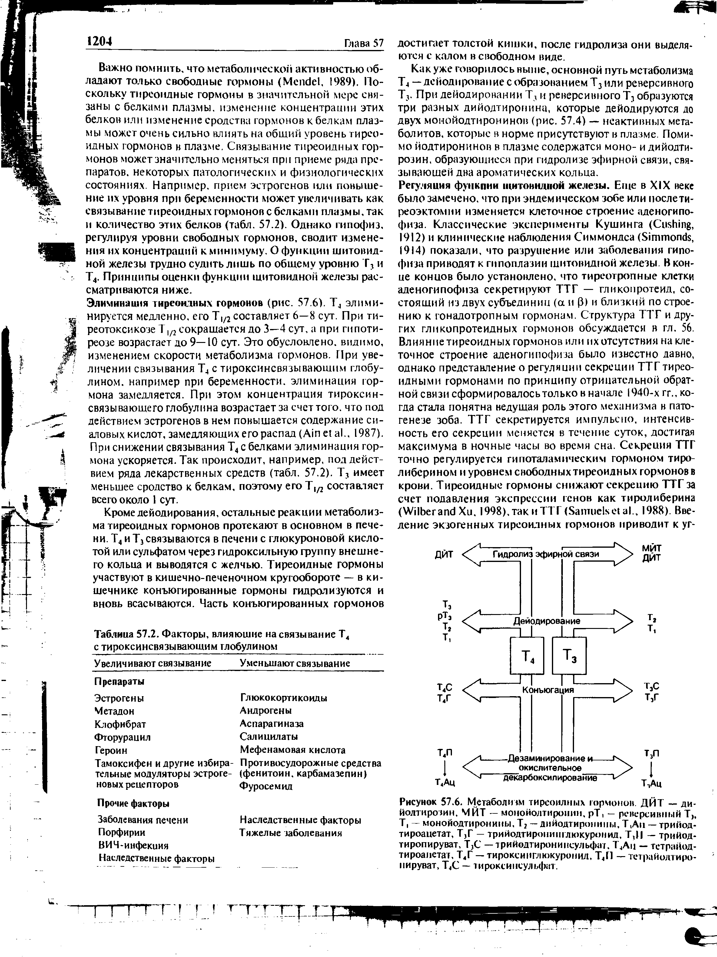 Рисунок 57.6. Метаболизм тиреоидных гормонов. ДЙТ — ди-йолтирошн. МЙТ — монойолтиронин. рТ, — реверсивный Т, Т, — монойодтиронины. Т2 — дийодтиронипы, Т,Ап — трийод-тироацетат, Т,Г — трийодтиронинглюкуронид, Т,Ц — трийод-тиропируват, T C — трийодтиронипсульфаг, Т4Ац — тстрайод-тироаиетат, Т4Г — тироксинглюкуронид. Т,П — тетрайолтиро-пируват, Т4С — тироксинсульфат.