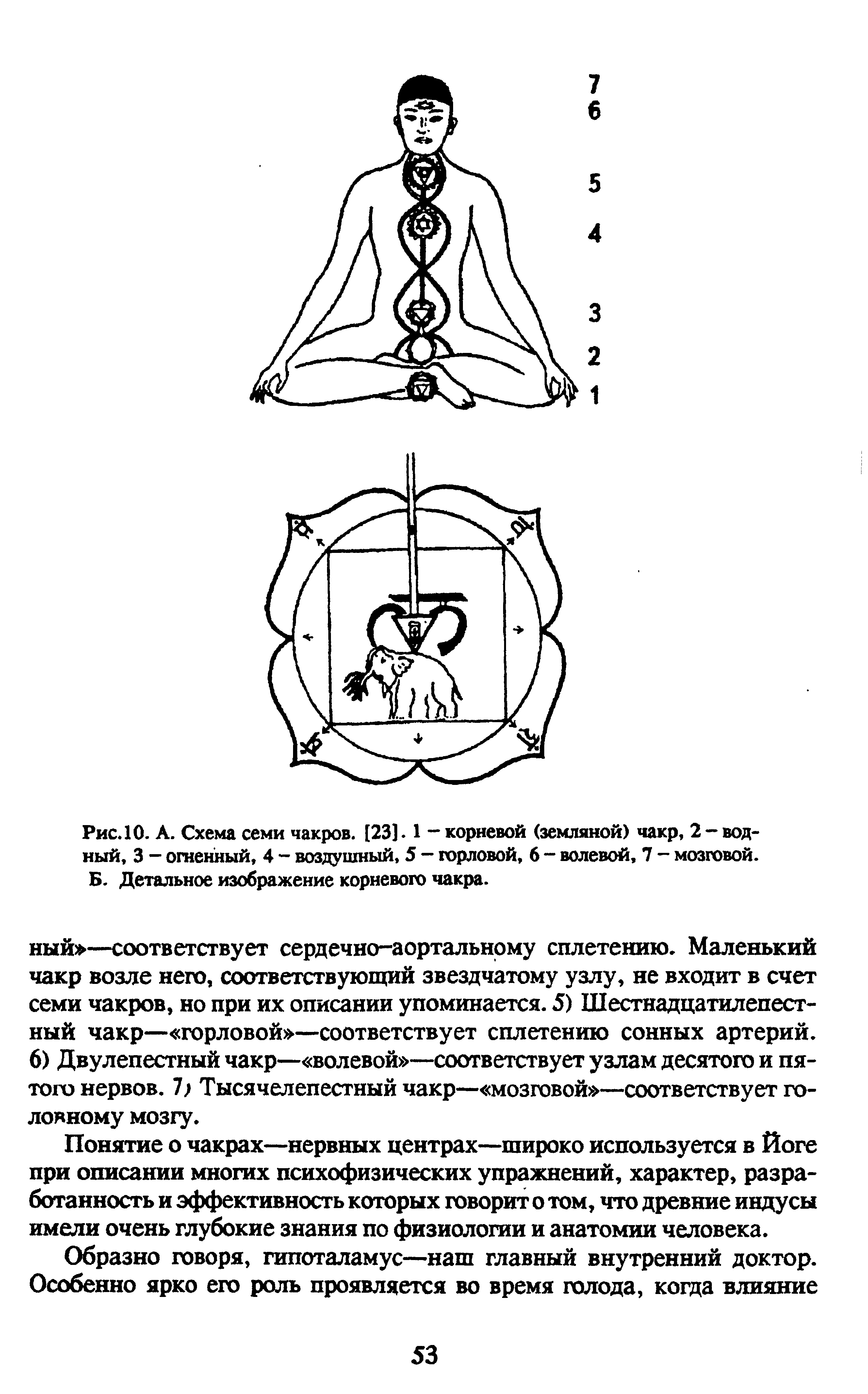 Рис. 10. А. Схема семи чакров. [23]. 1 — корневой (земляной) чакр, 2 — водный, 3 - огненный, 4 воздушный, 5 — горловой, 6 - волевой, 7 - мозговой. Б. Детальное изображение корневого чакра.