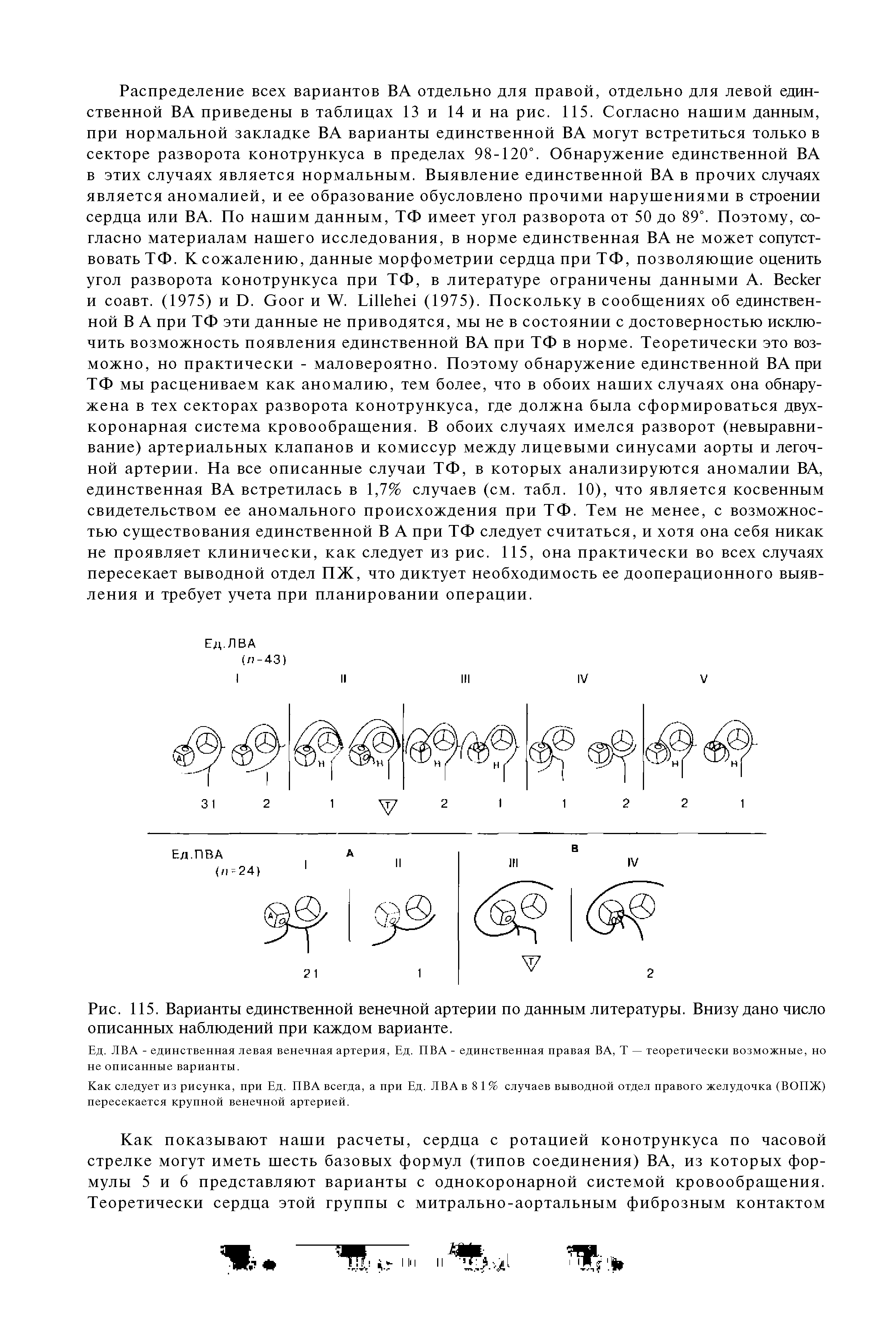 Рис. 115. Варианты единственной венечной артерии по данным литературы. Внизу дано число описанных наблюдений при каждом варианте.